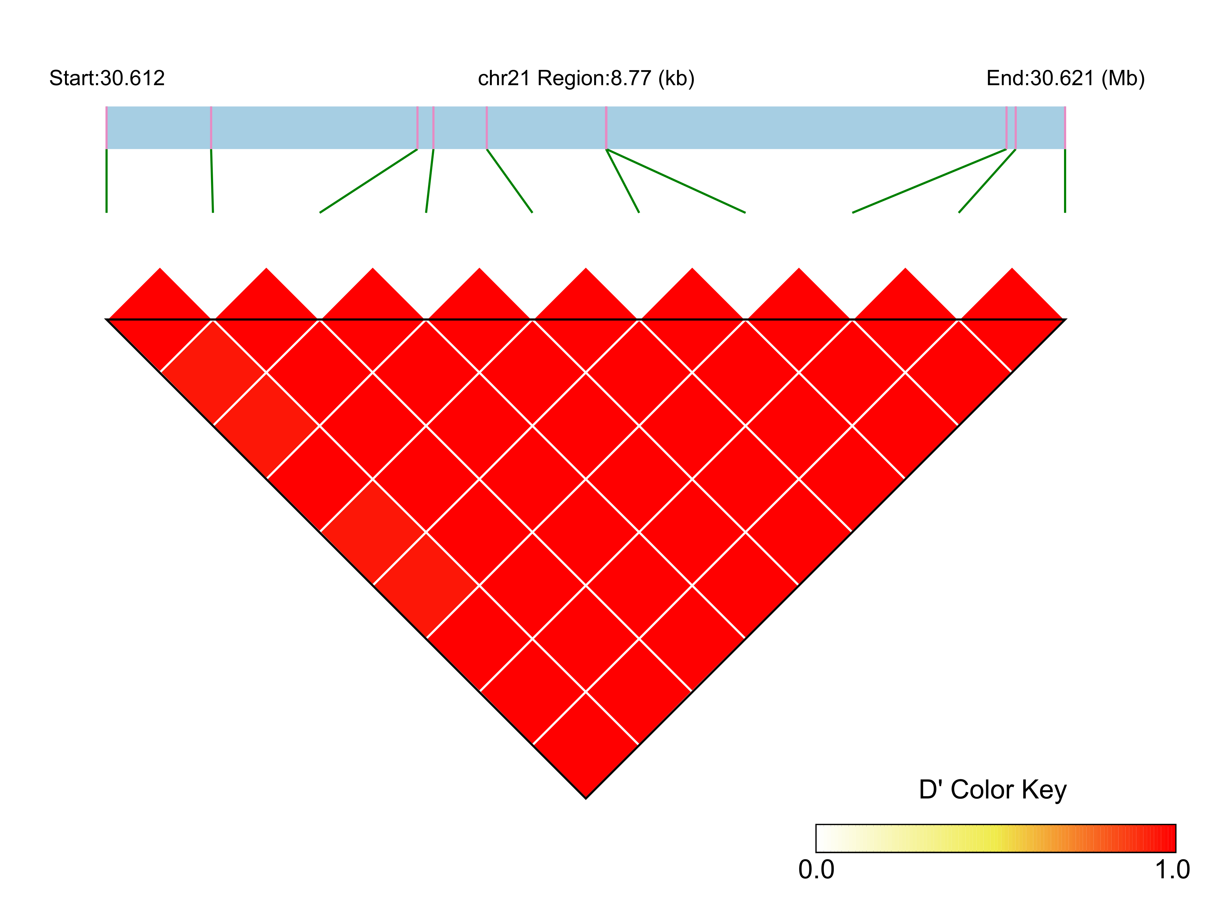 LD