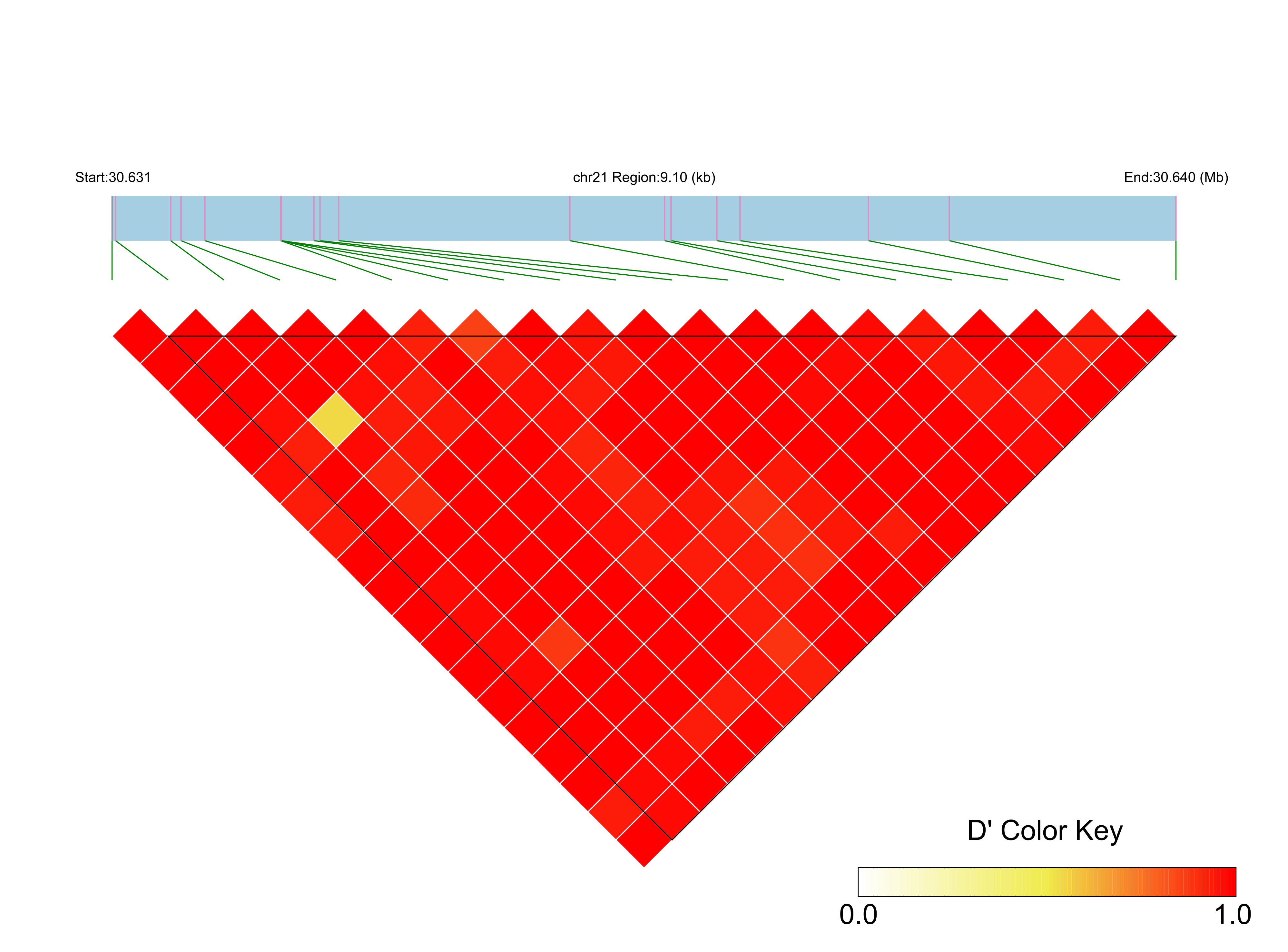 LD
