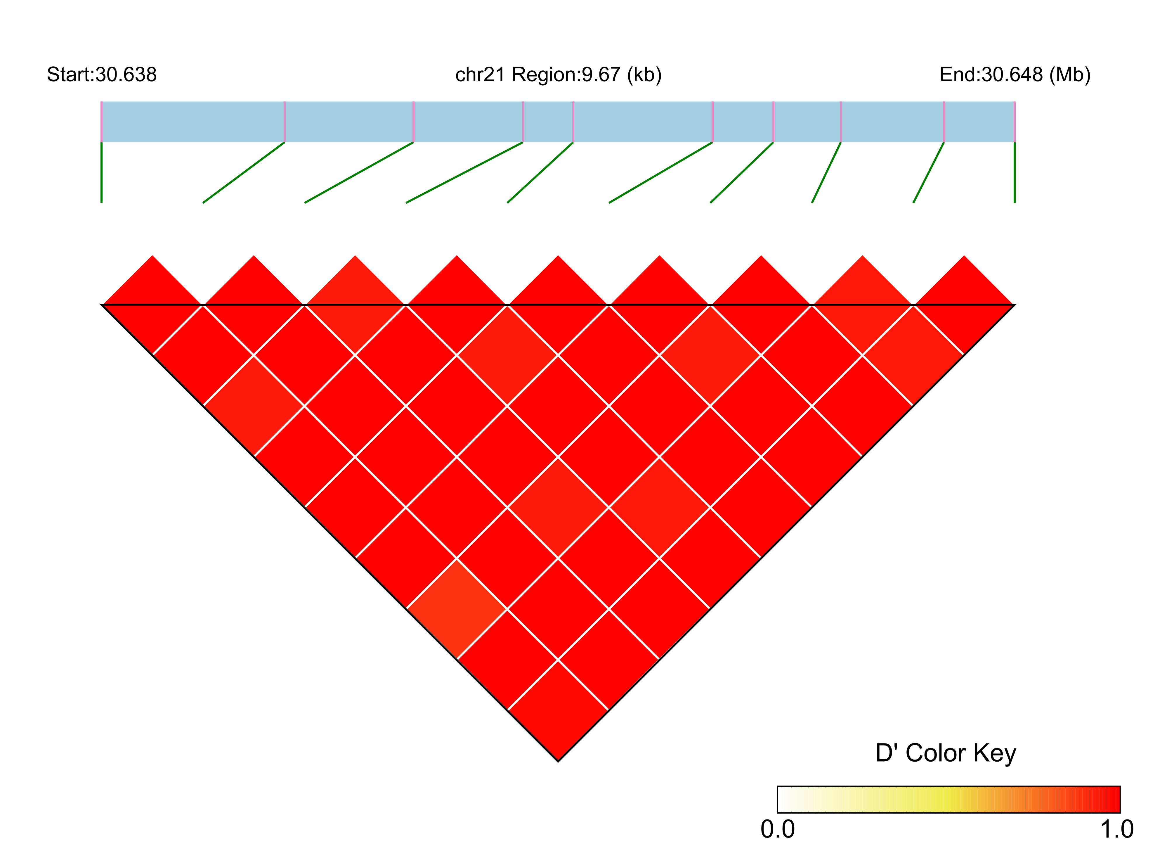 LD