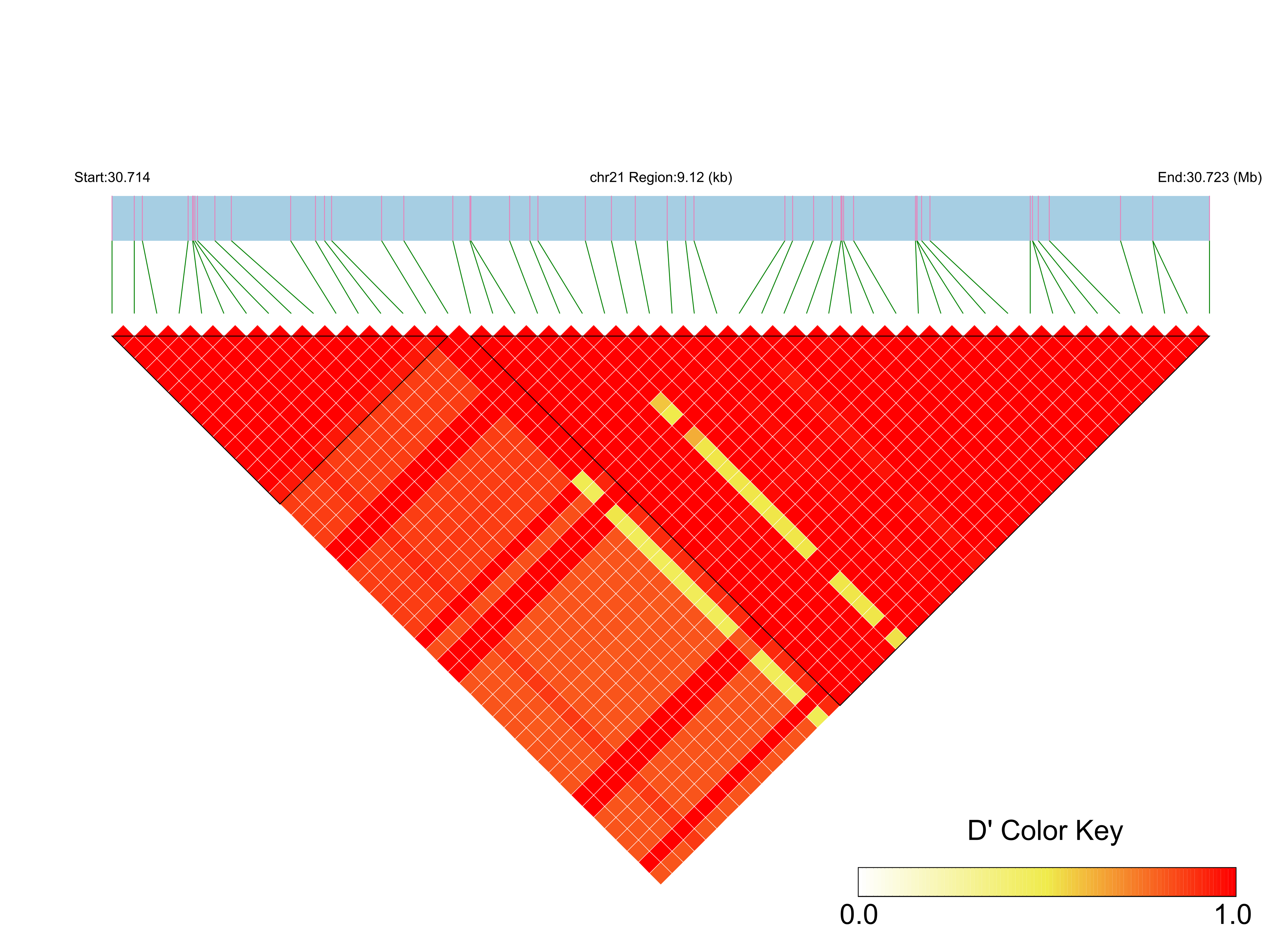 LD