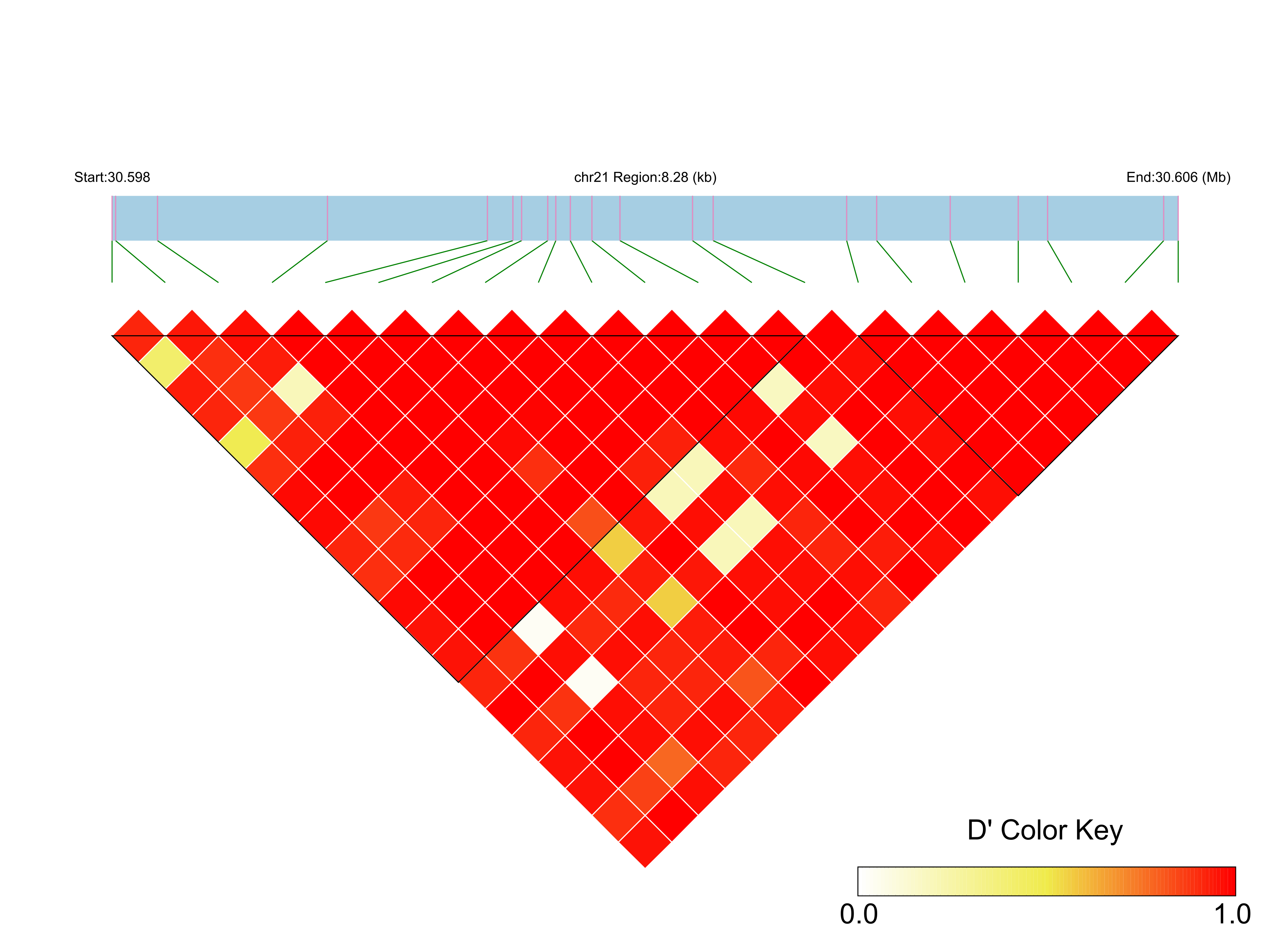 LD