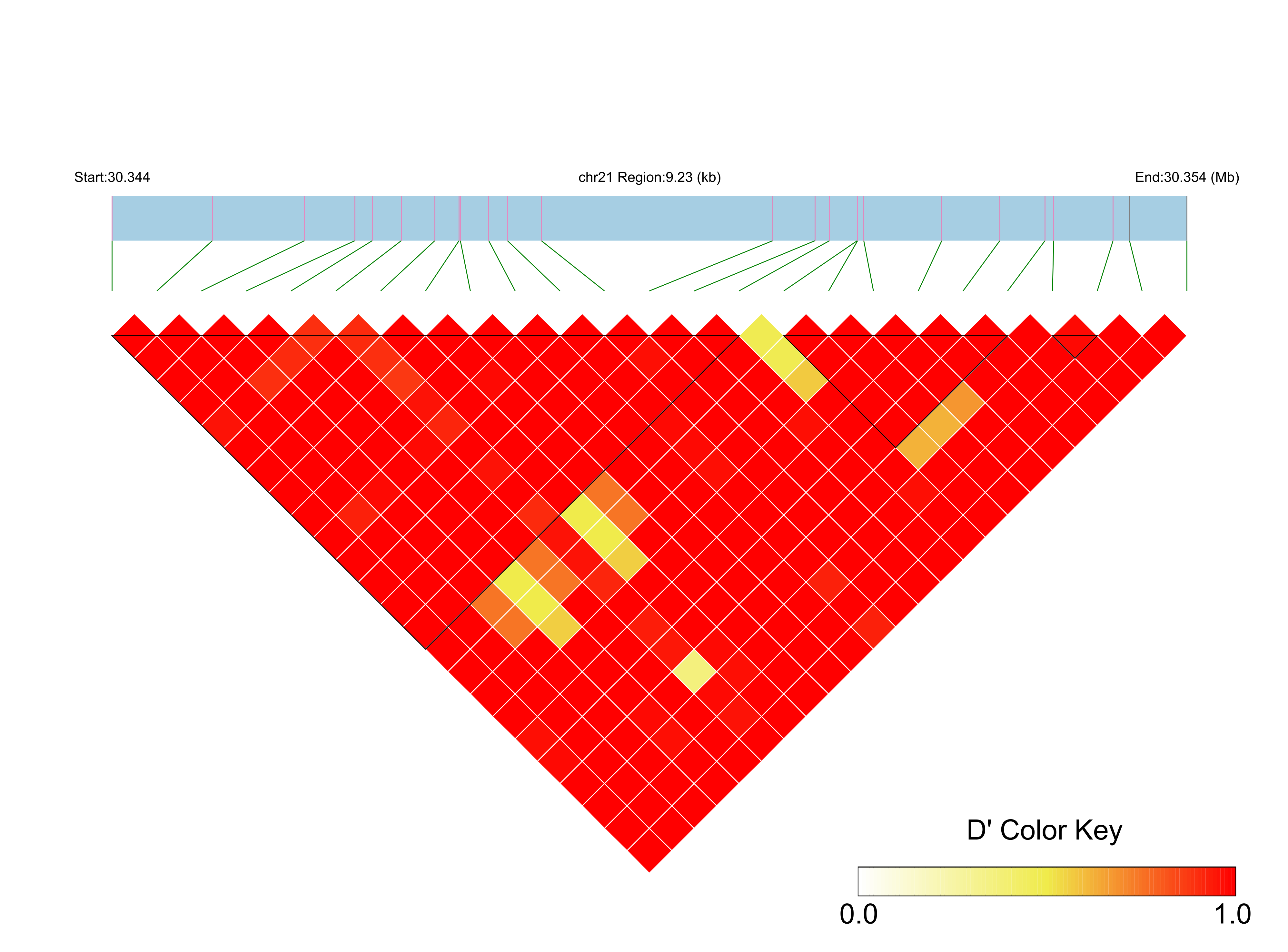 LD