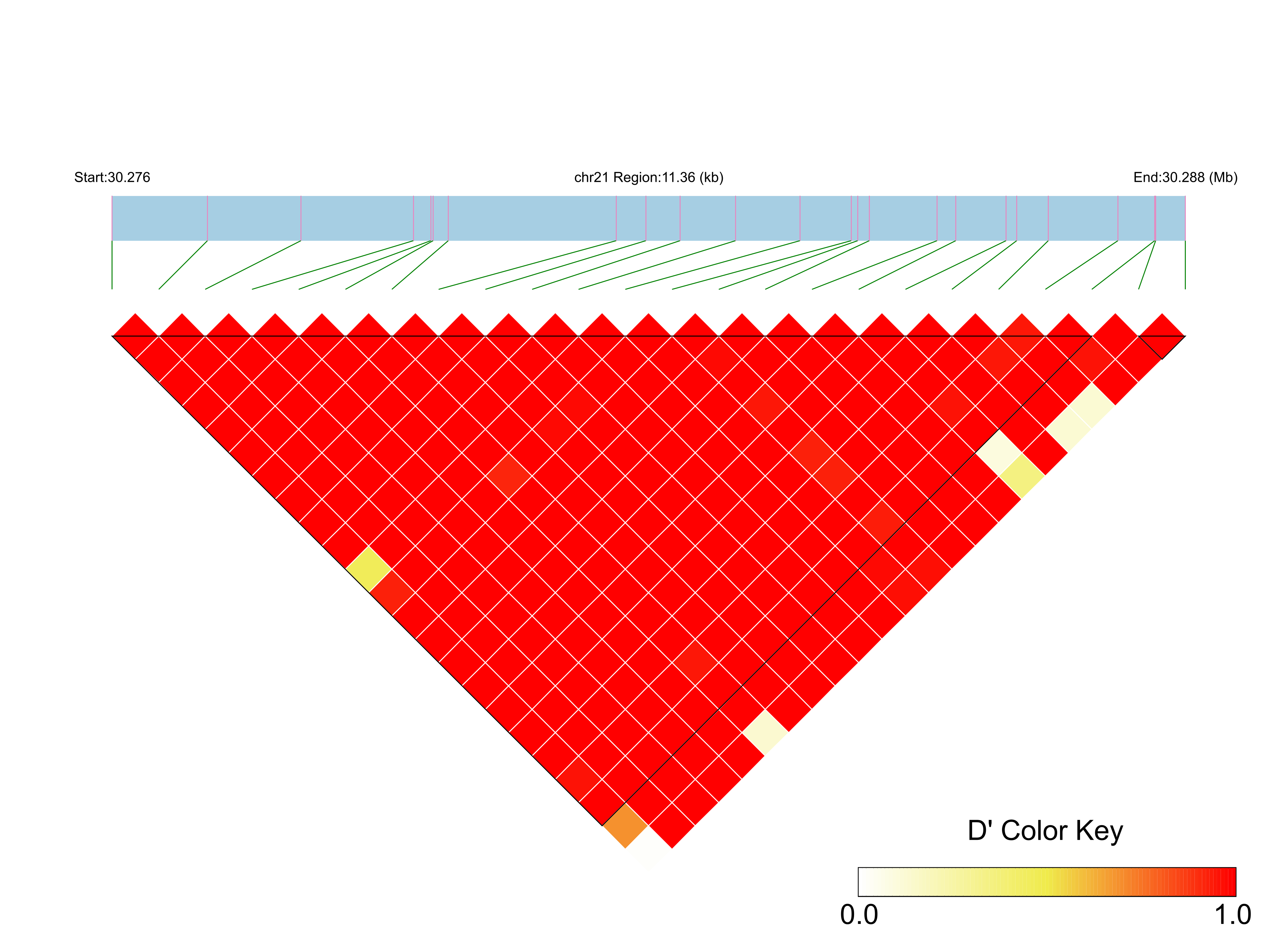 LD