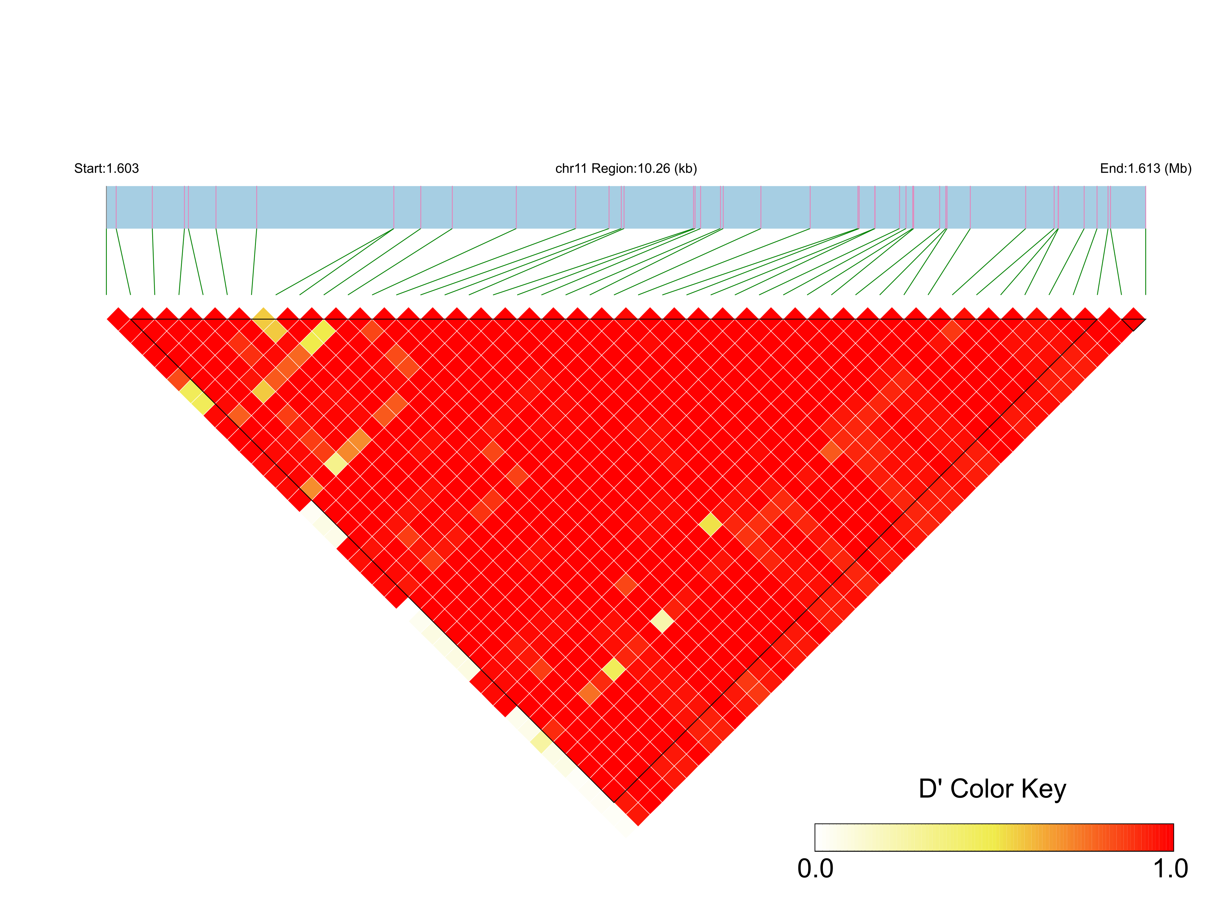 LD