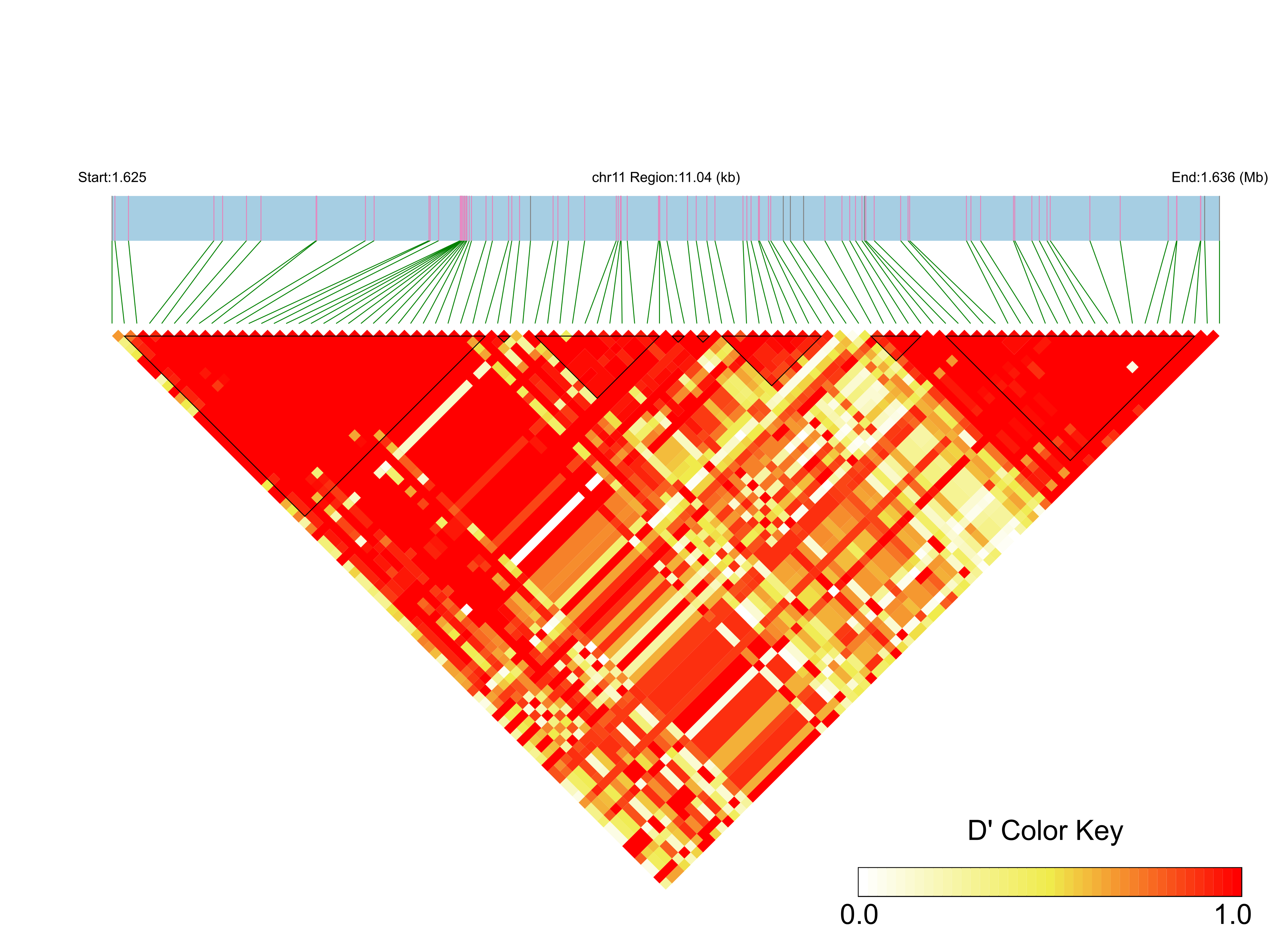 LD