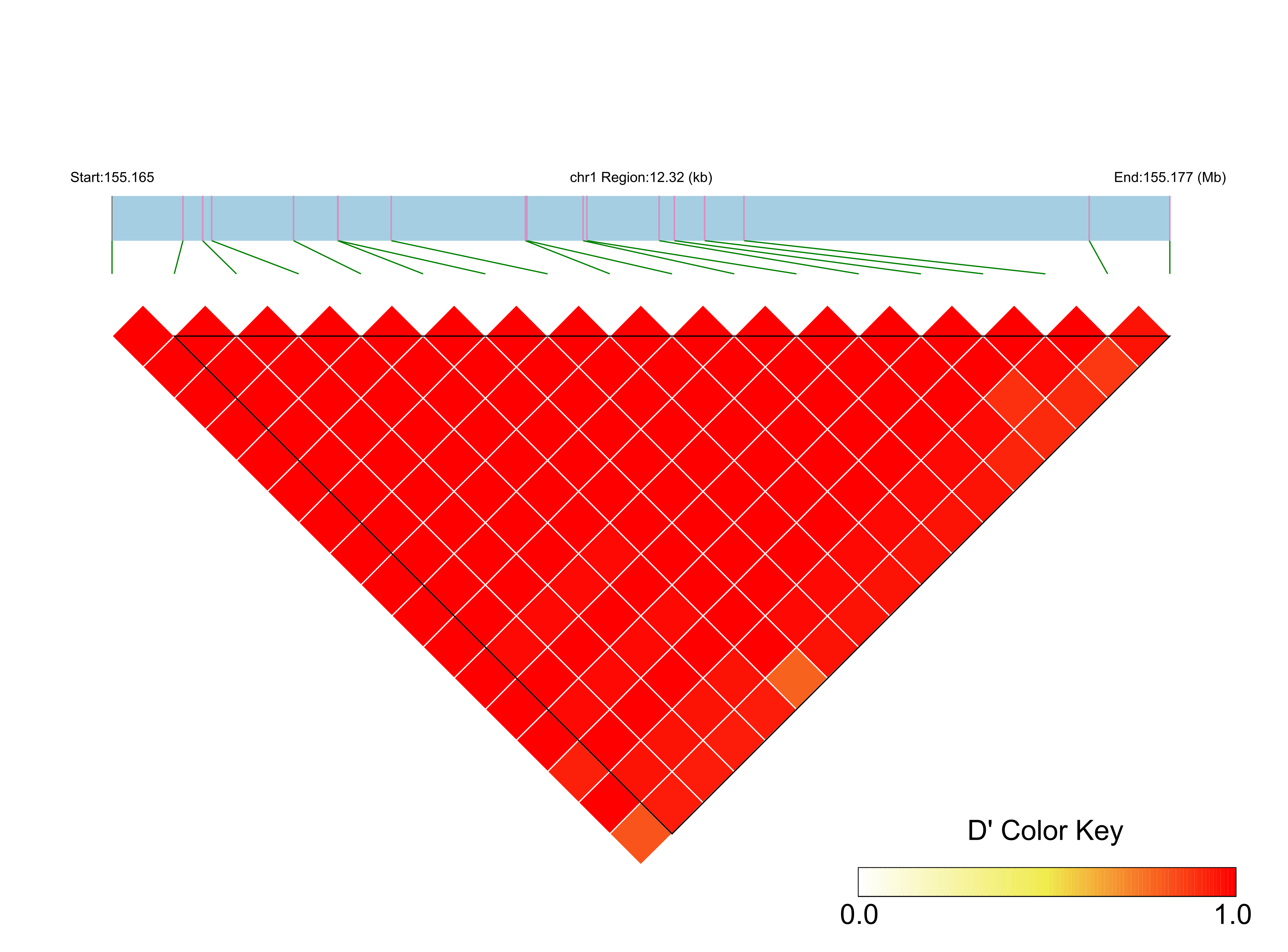 LD