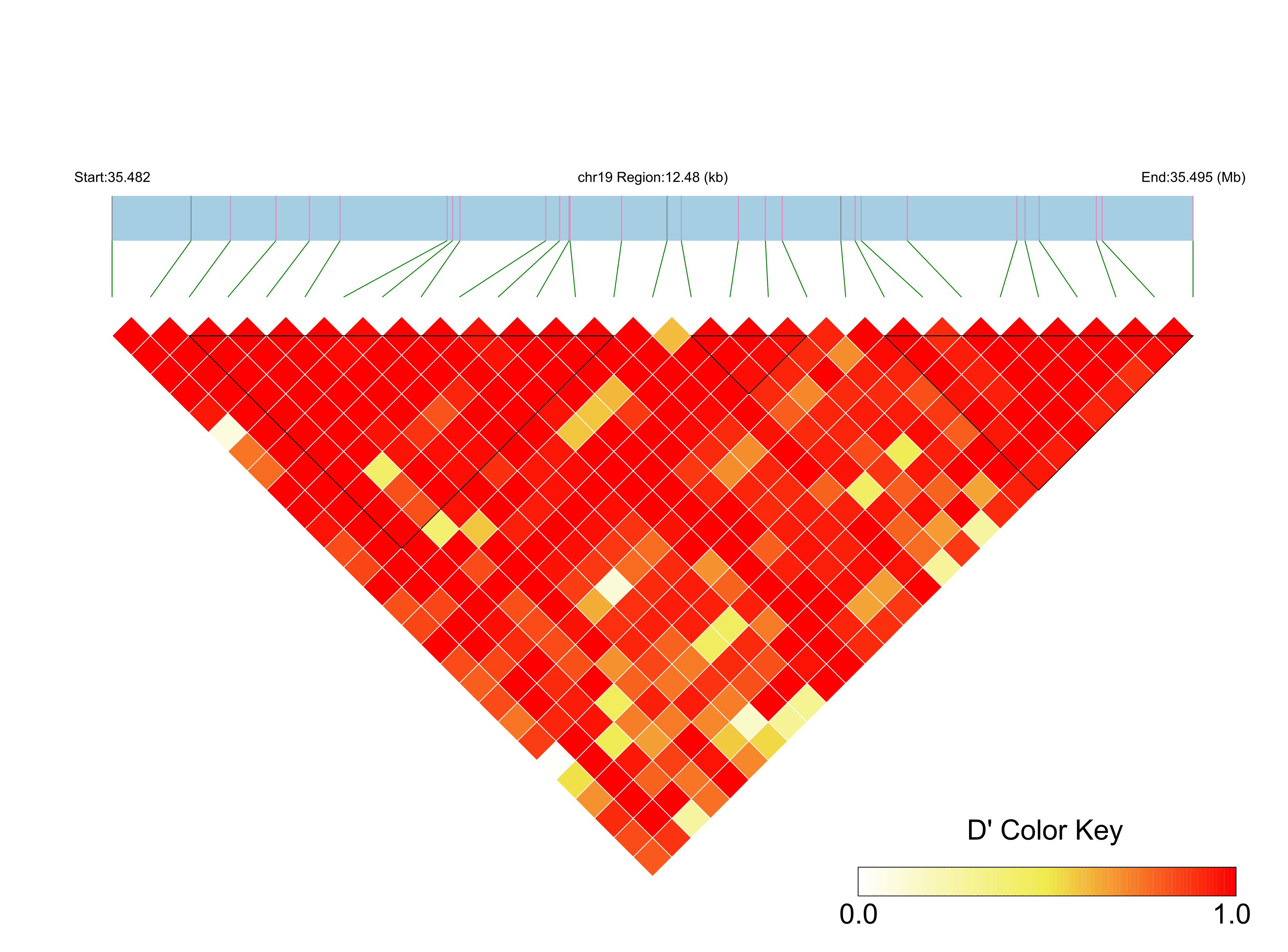 LD