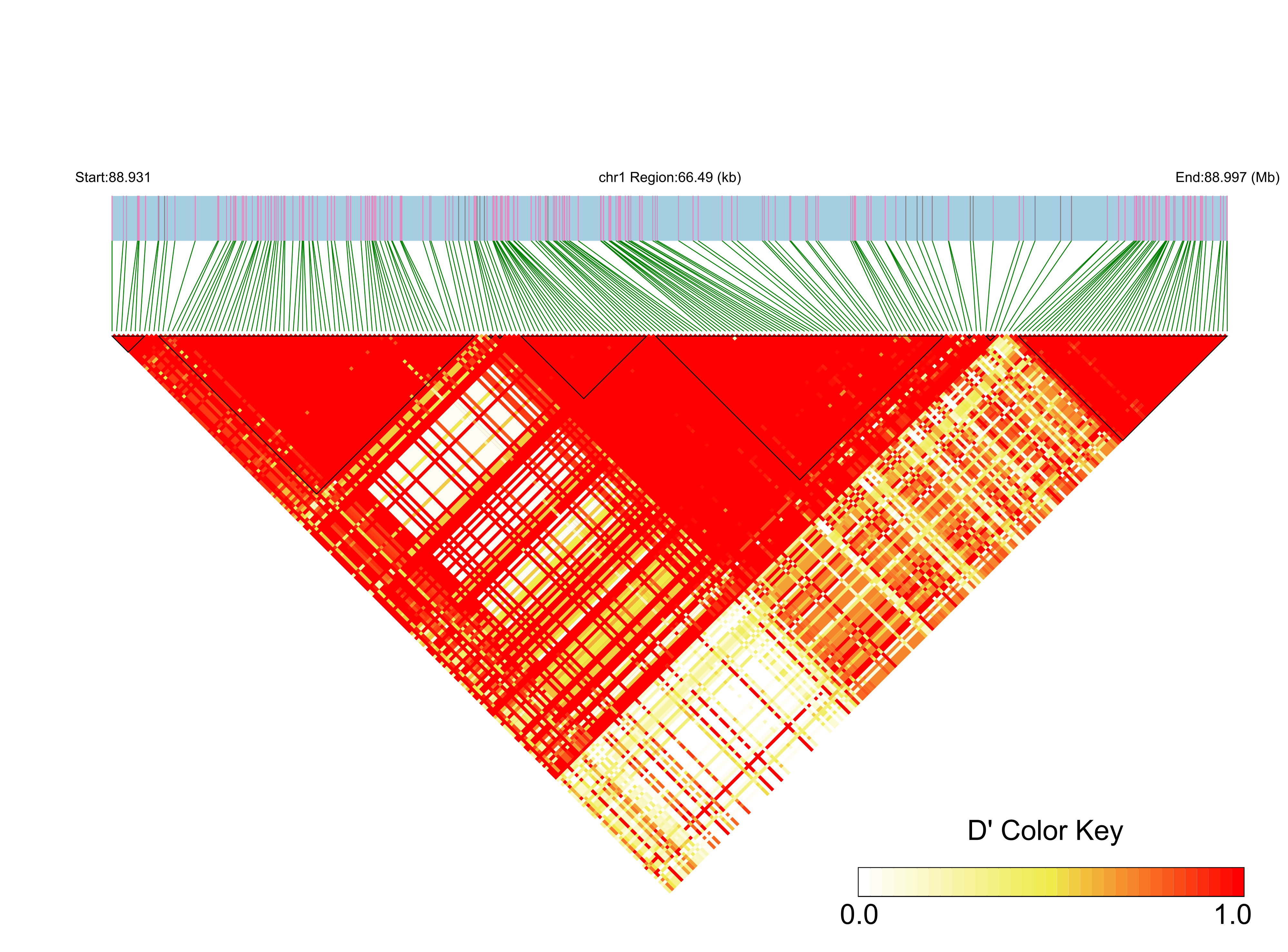 LD