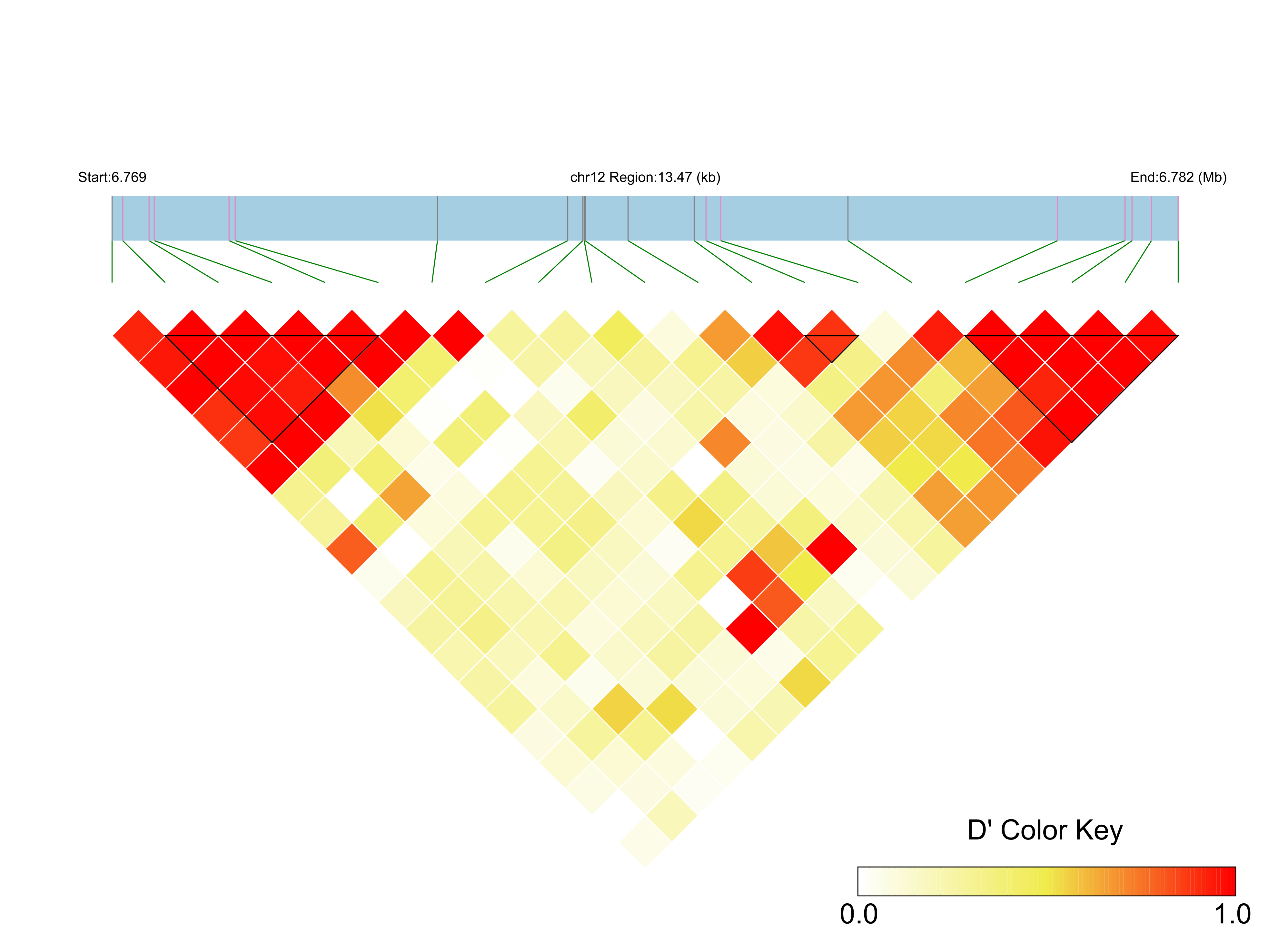 LD