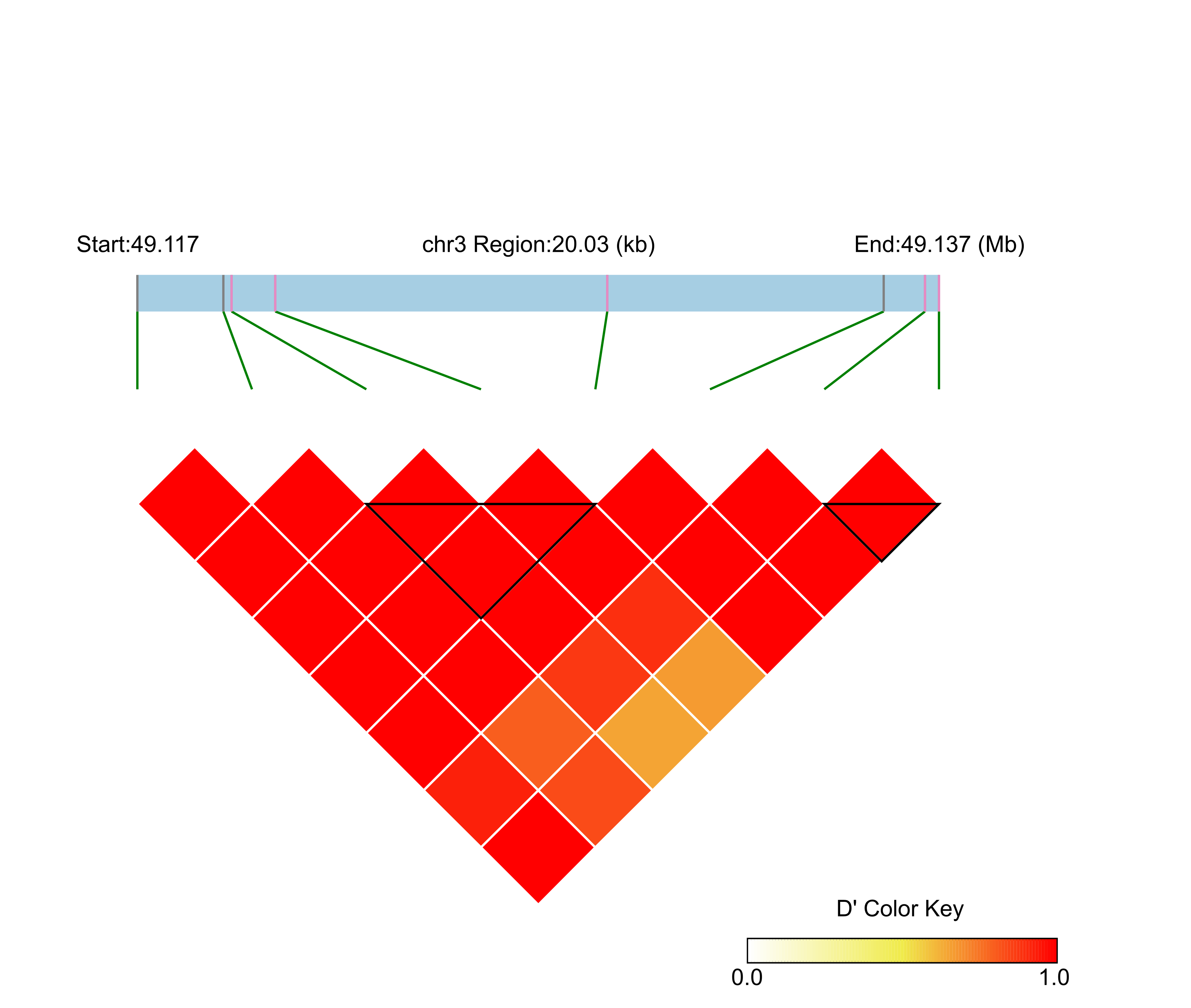 LD