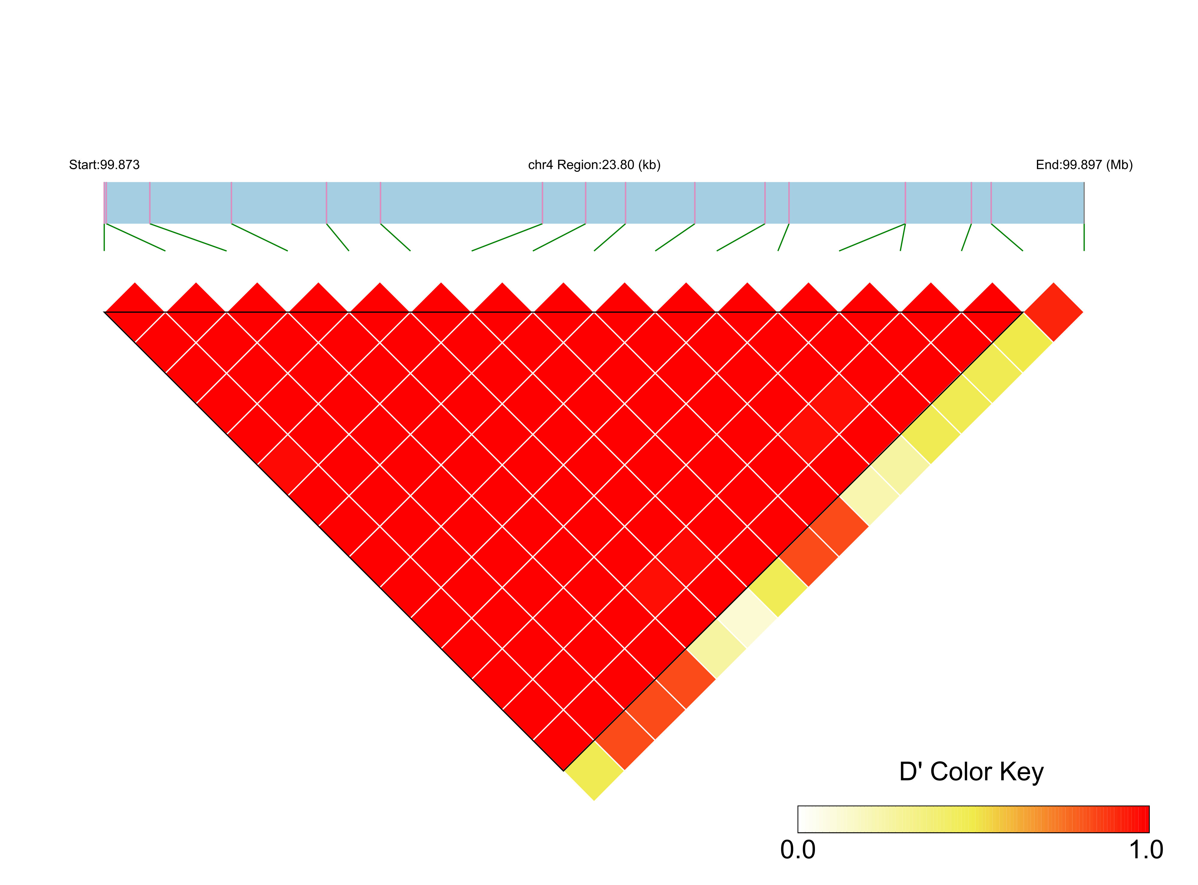 LD