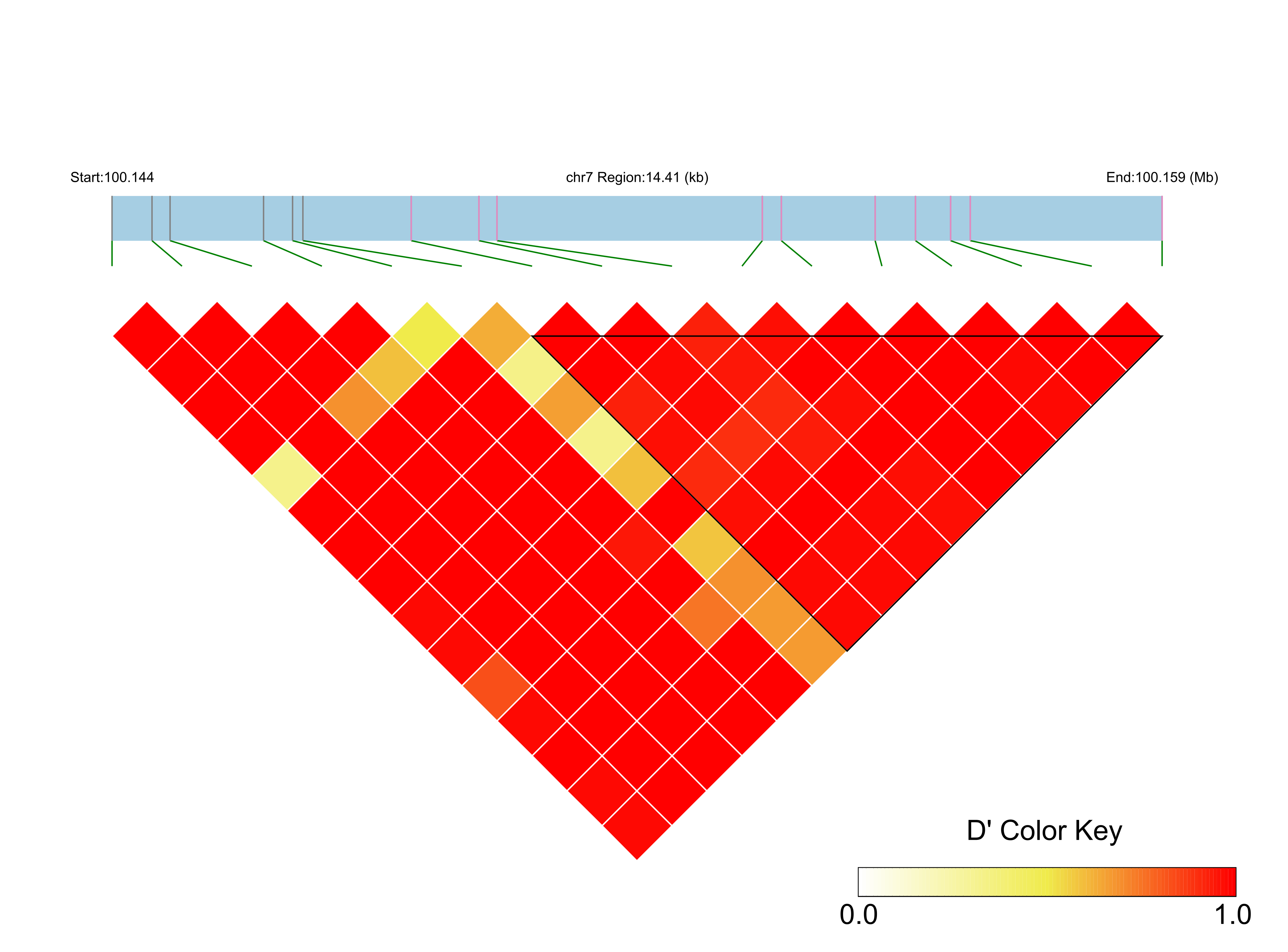 LD