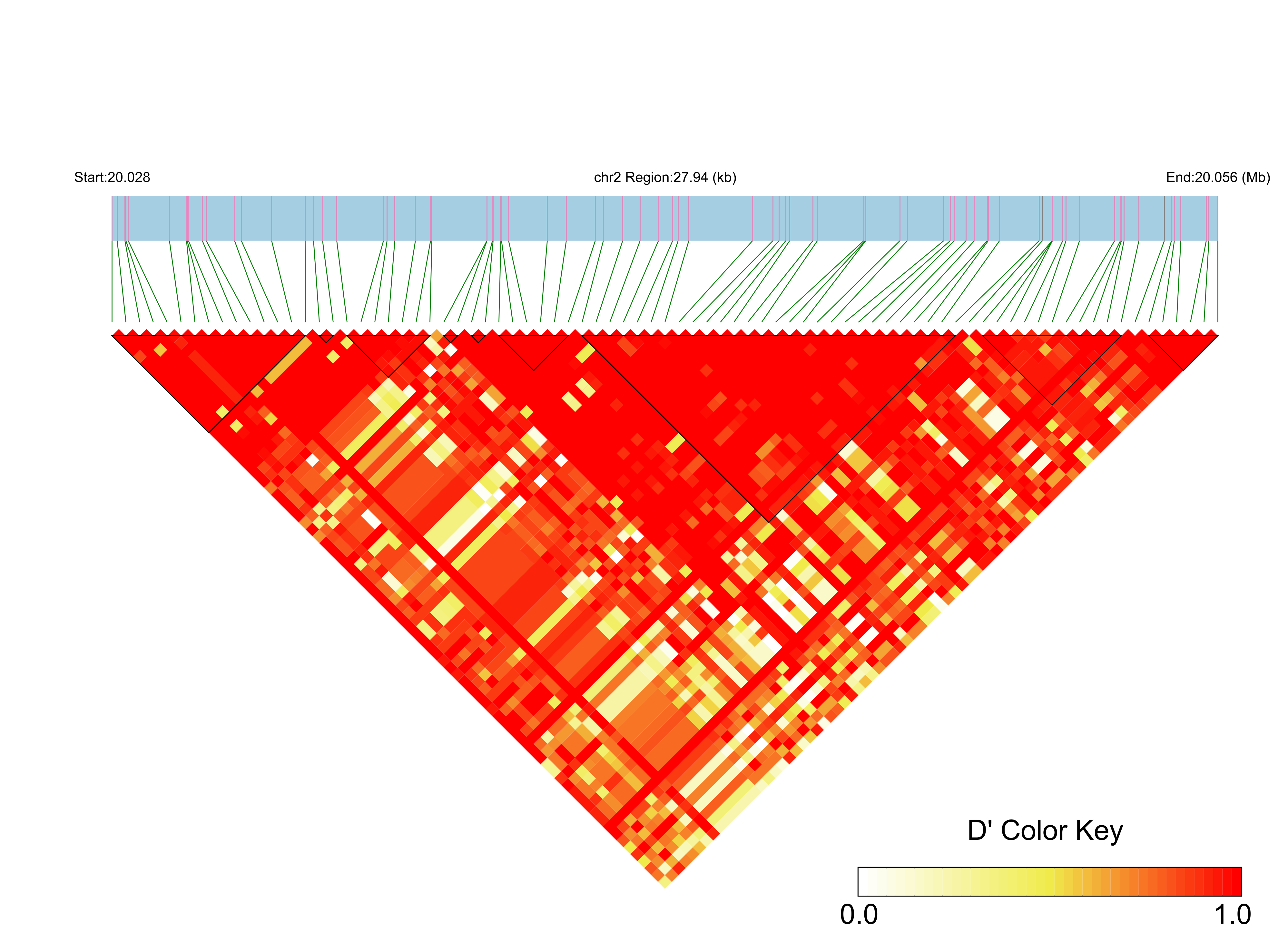 LD