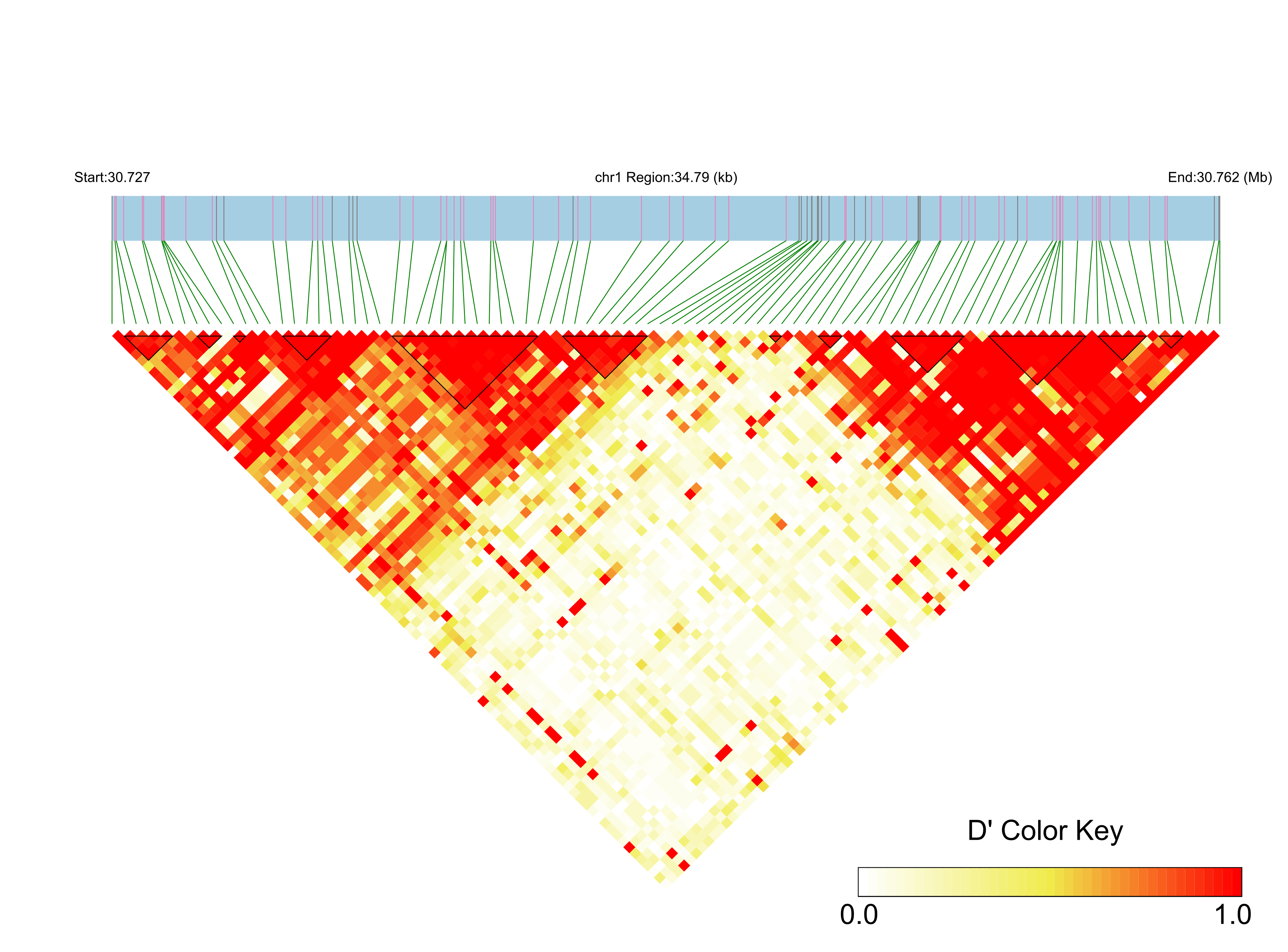 LD