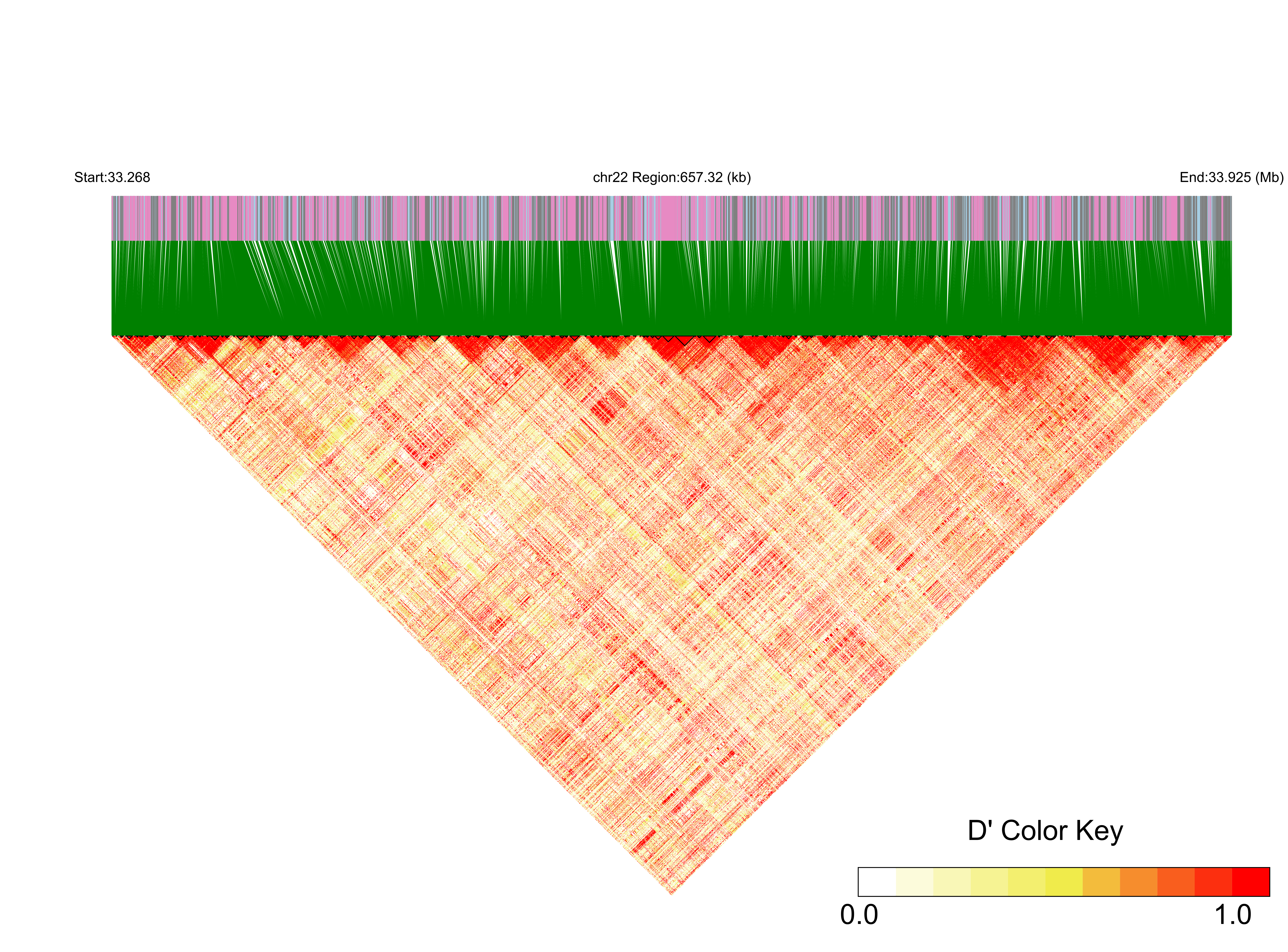 LD