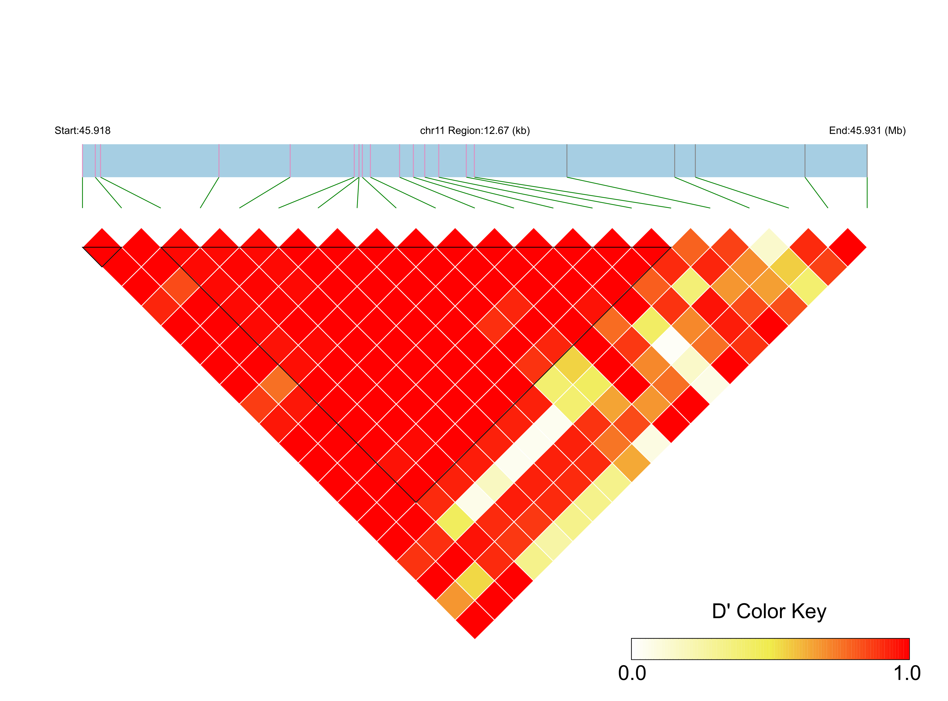 LD