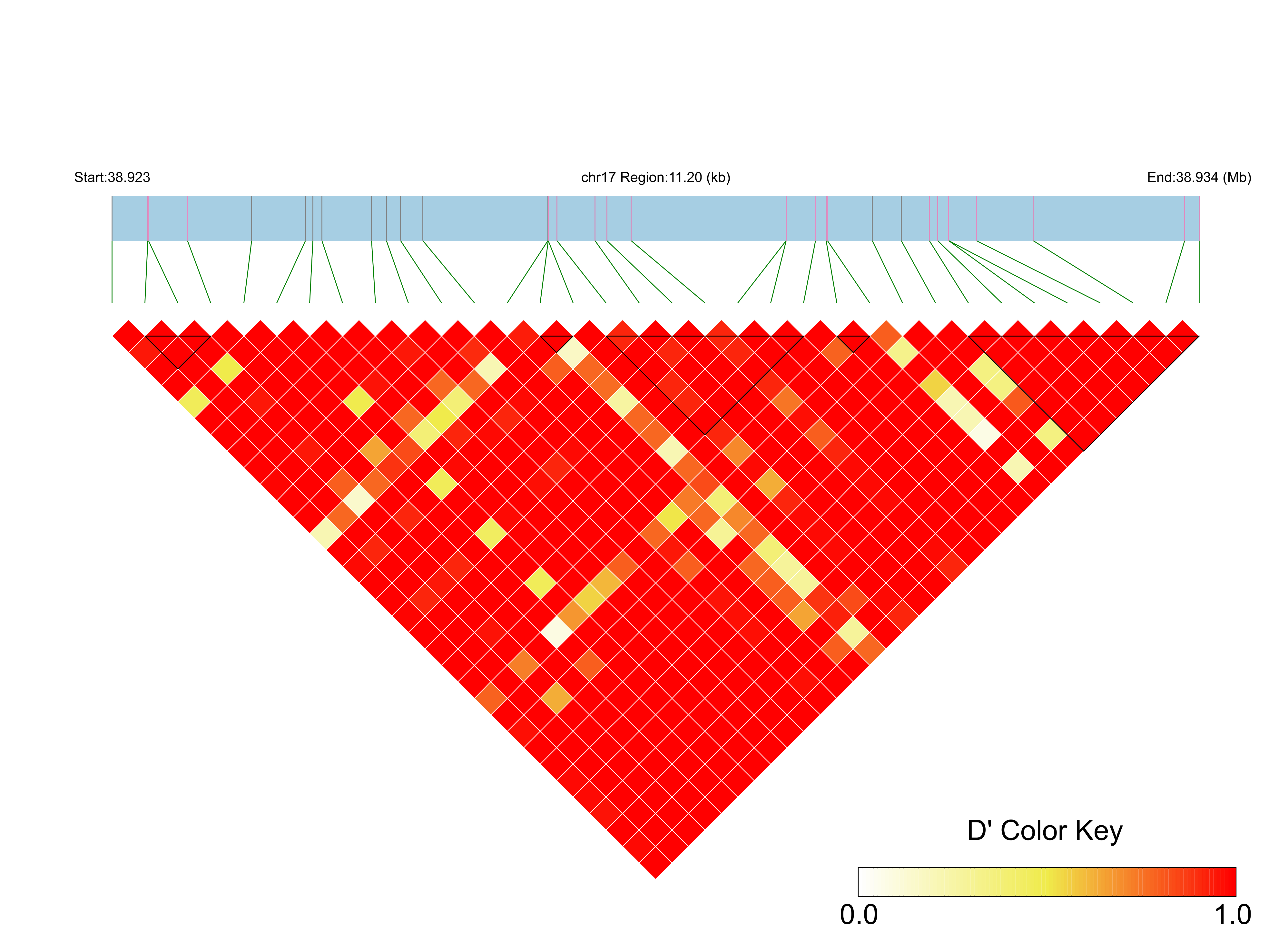 LD