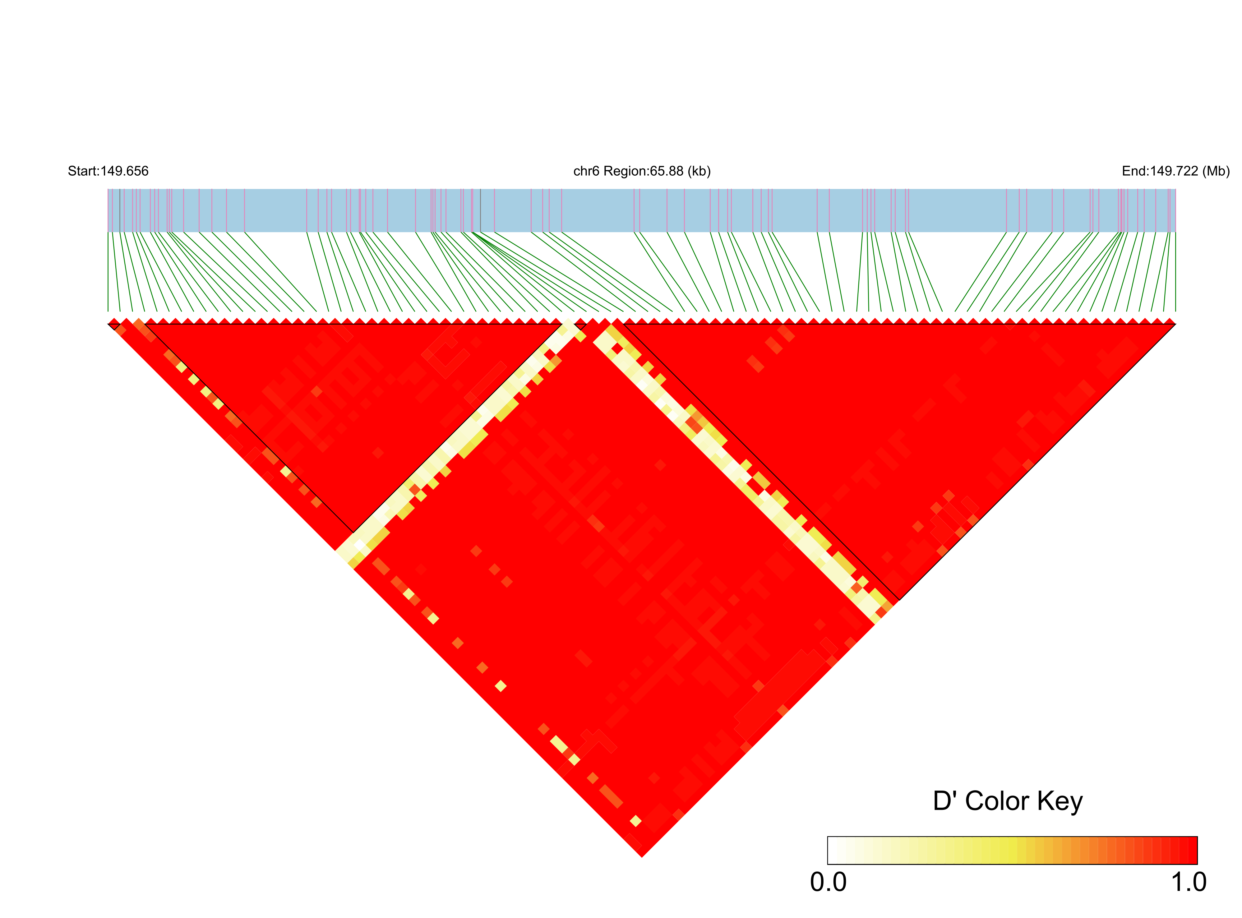 LD