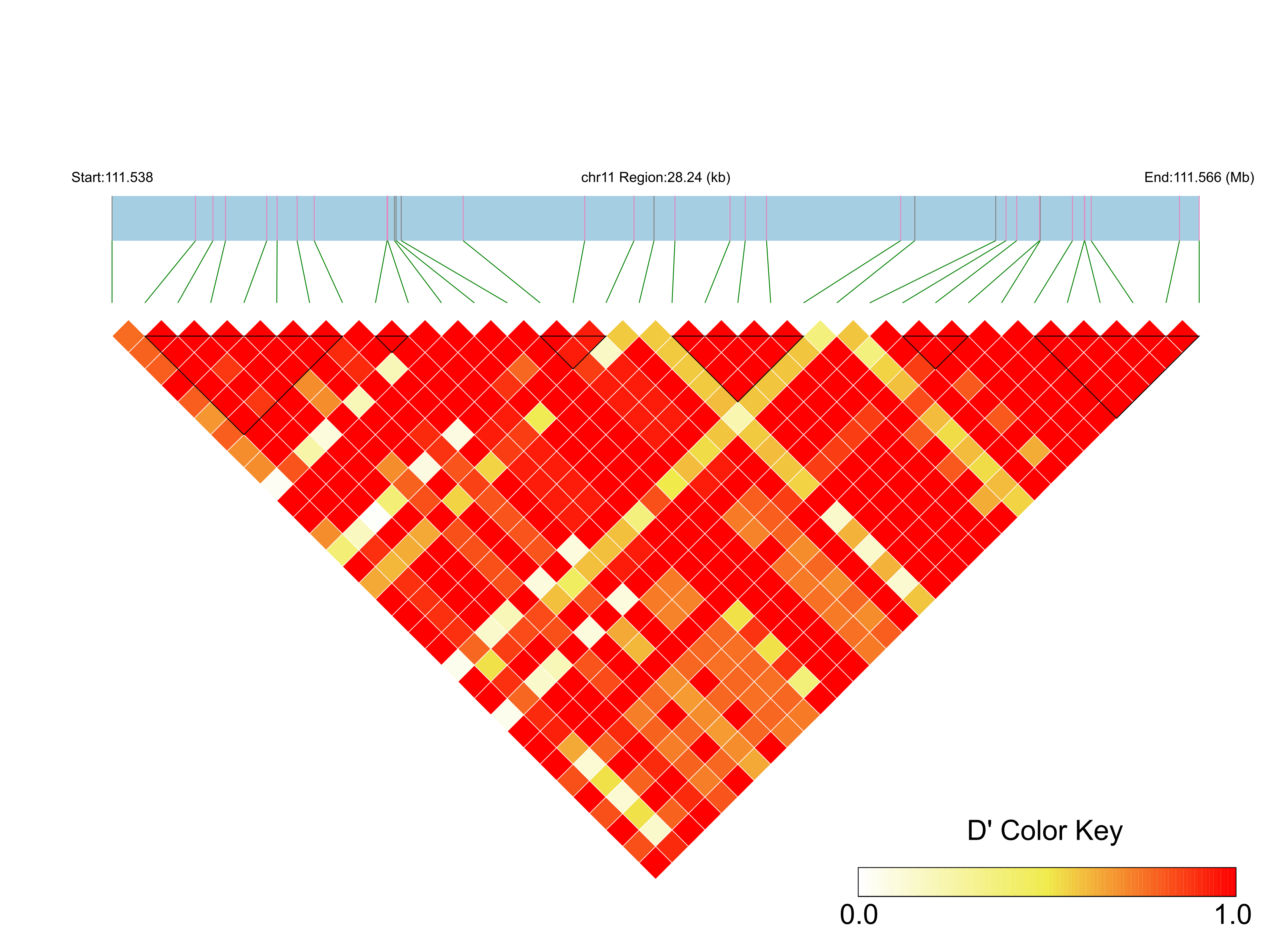 LD