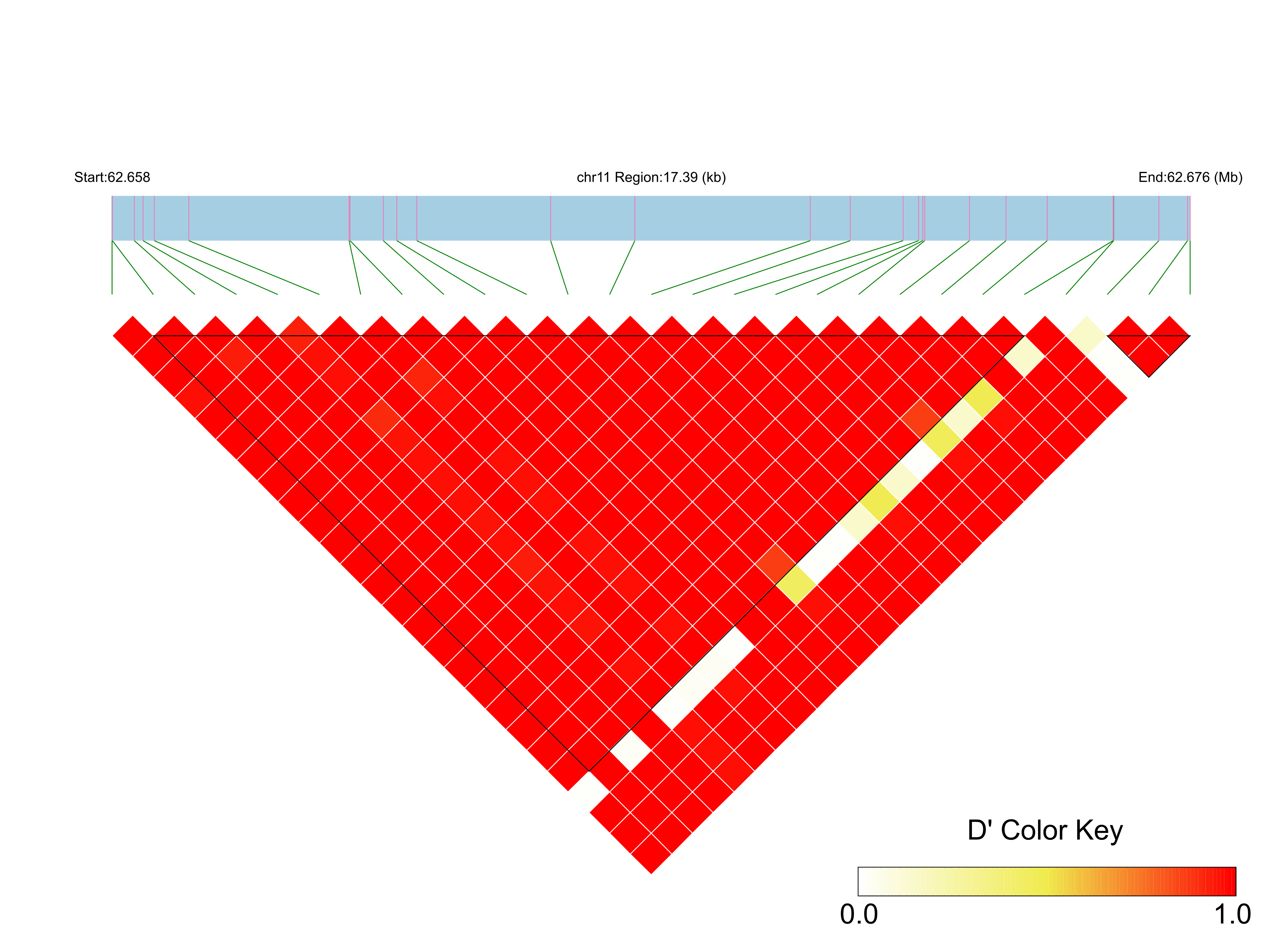 LD