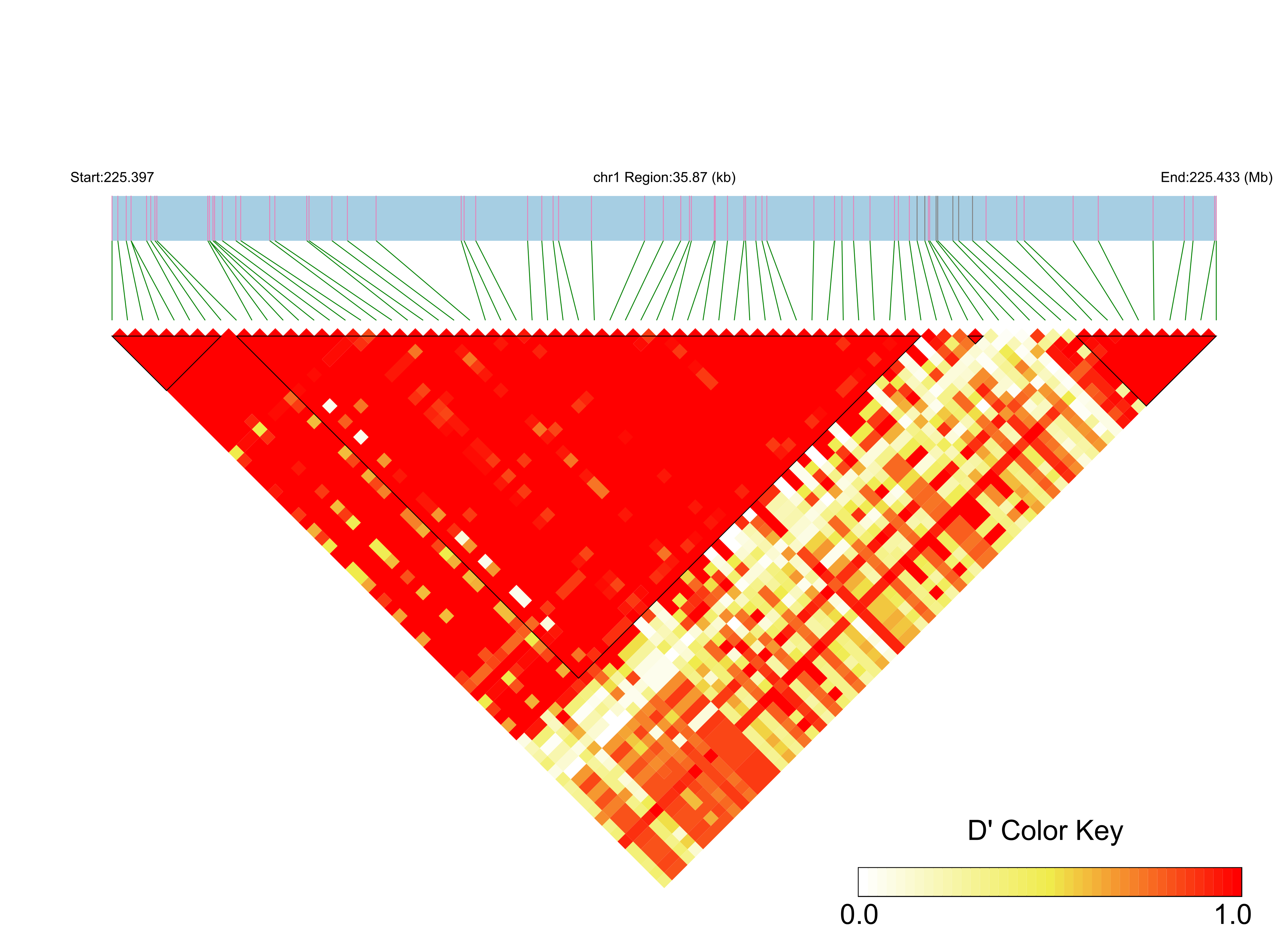 LD