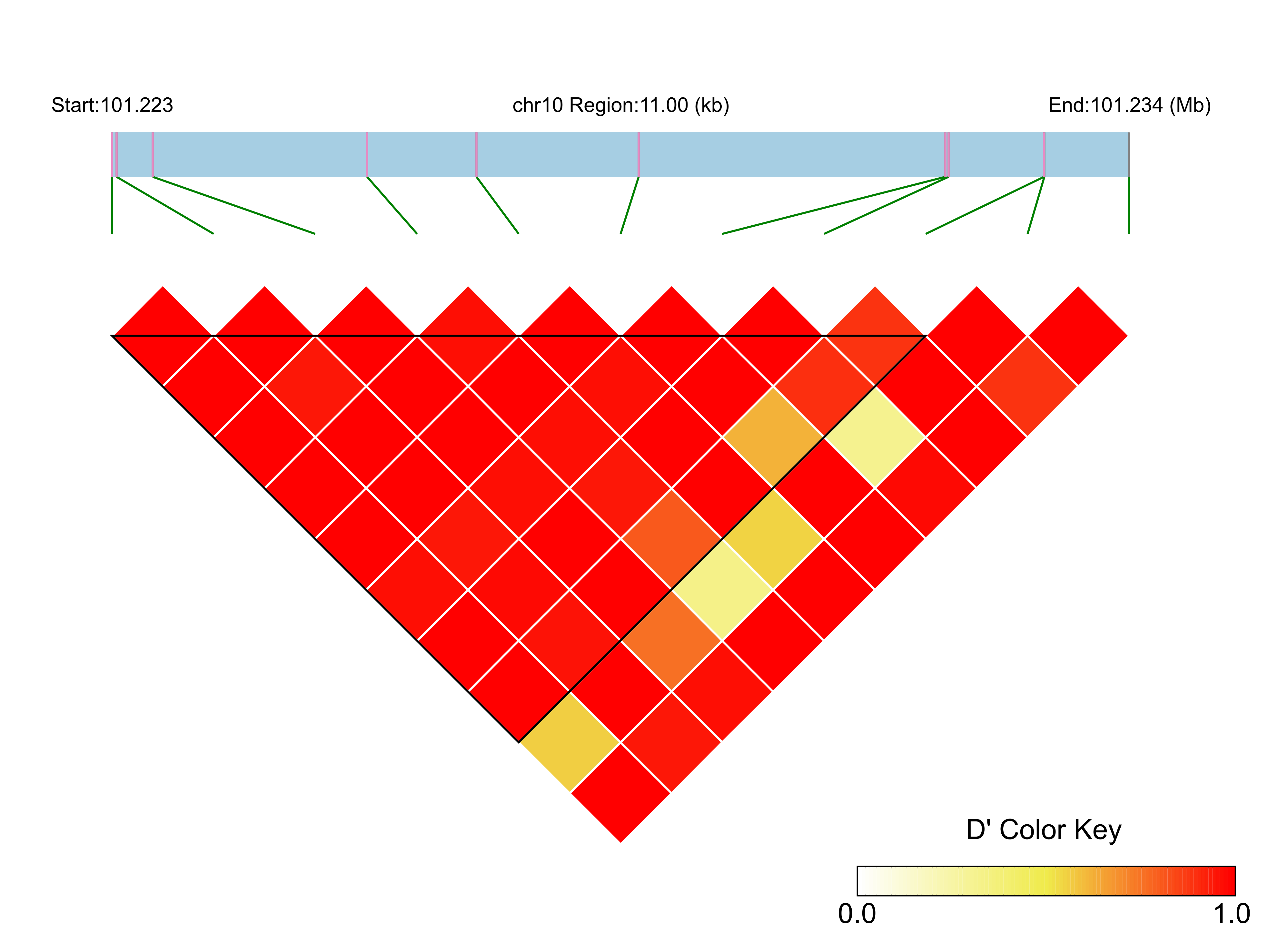 LD