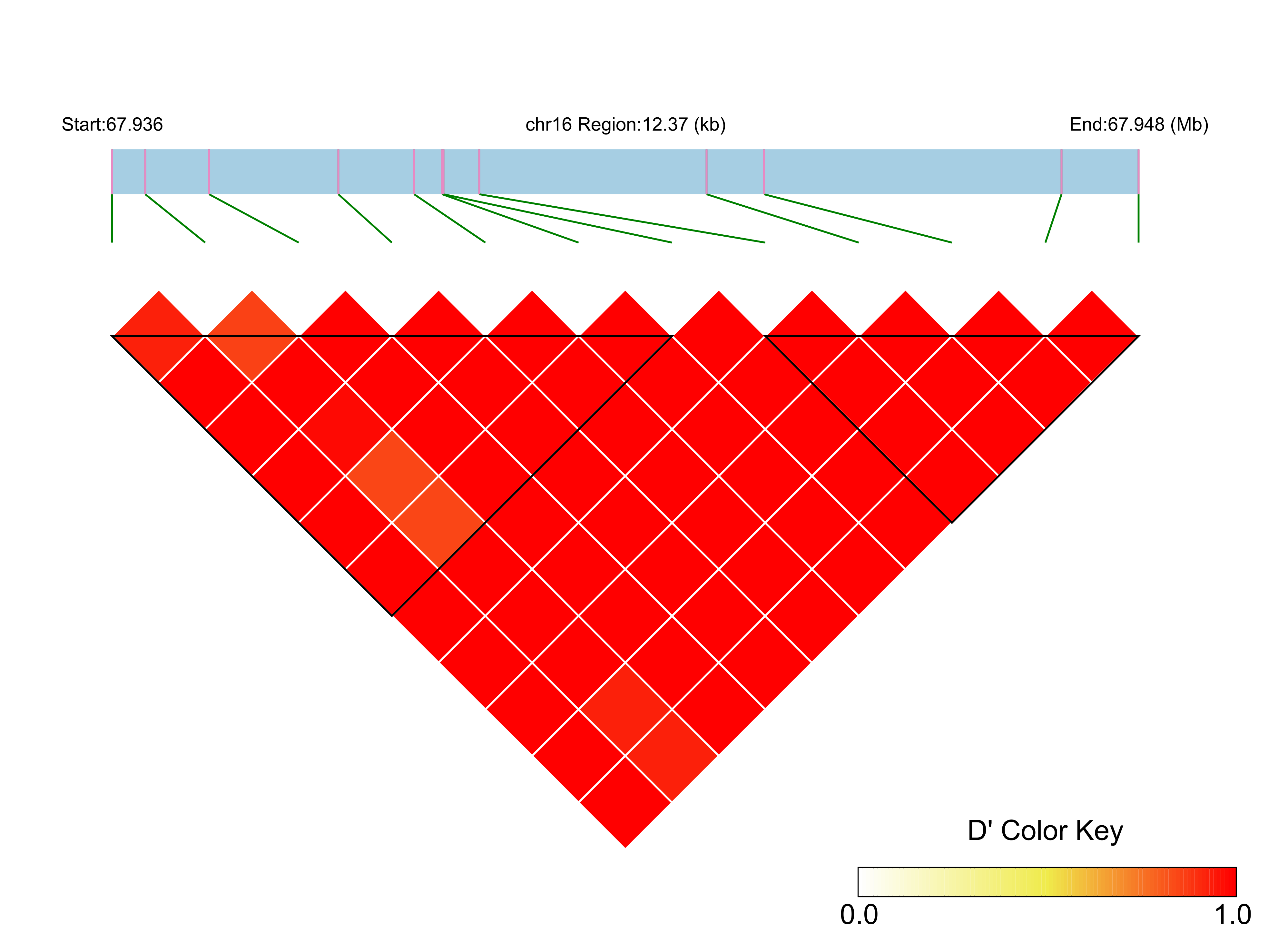 LD