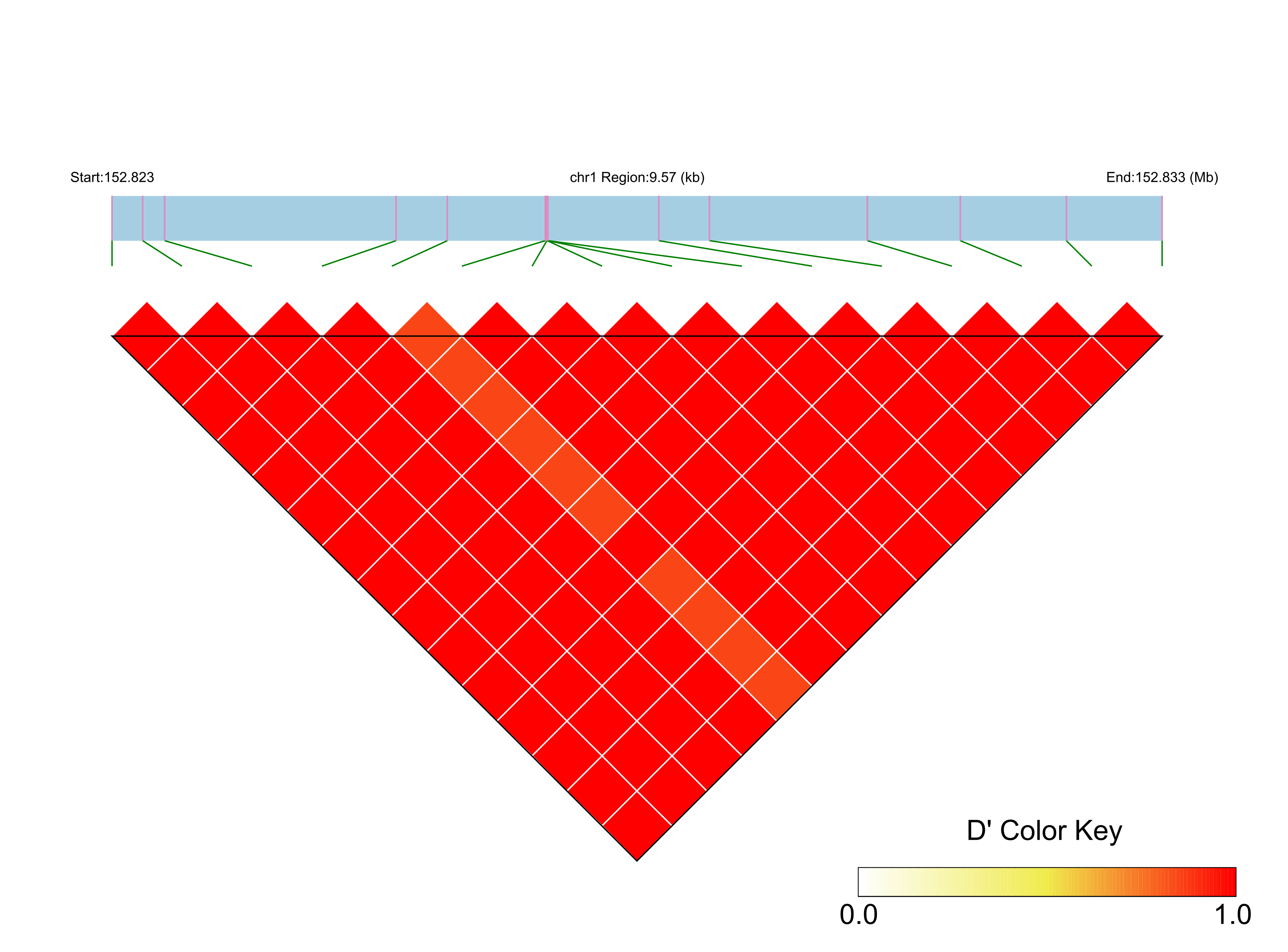 LD