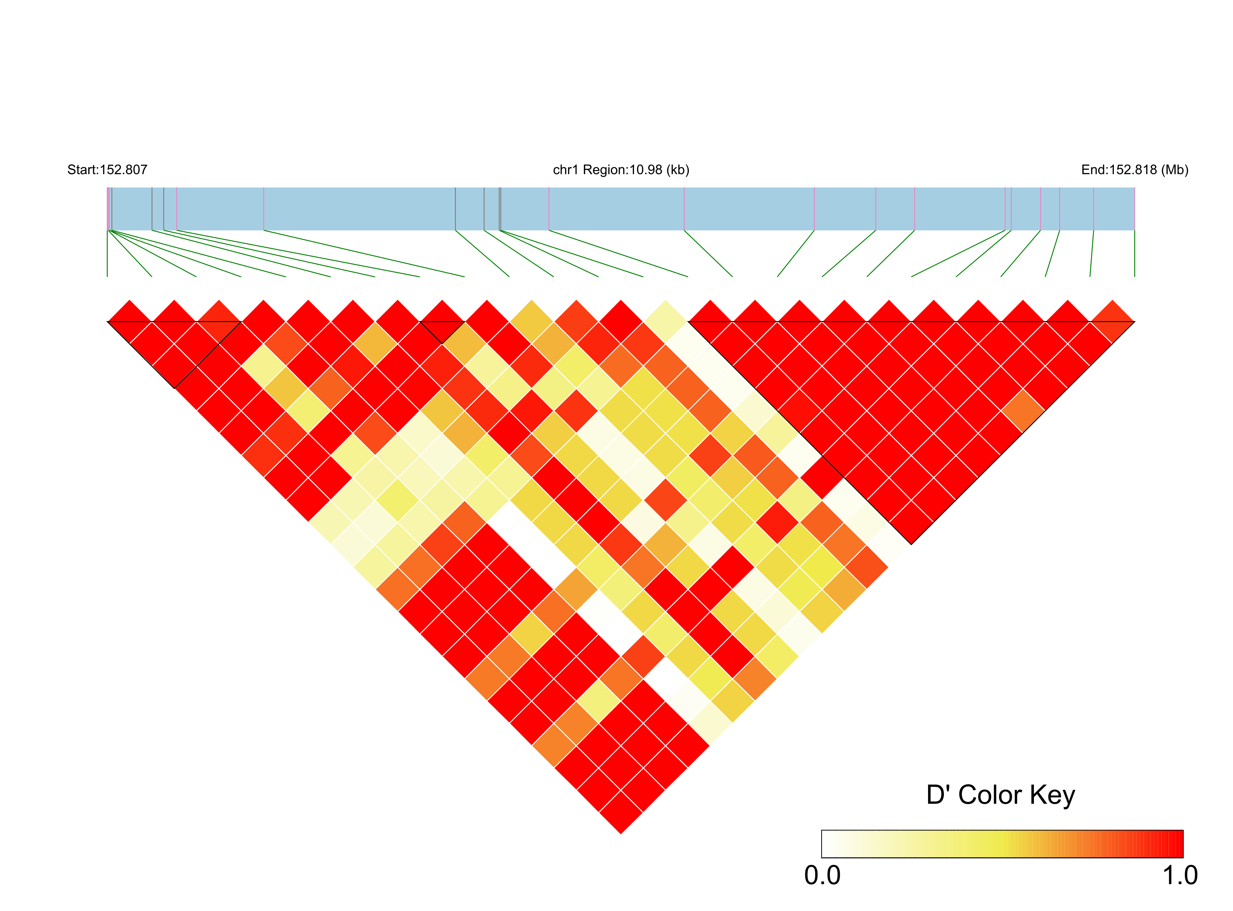 LD