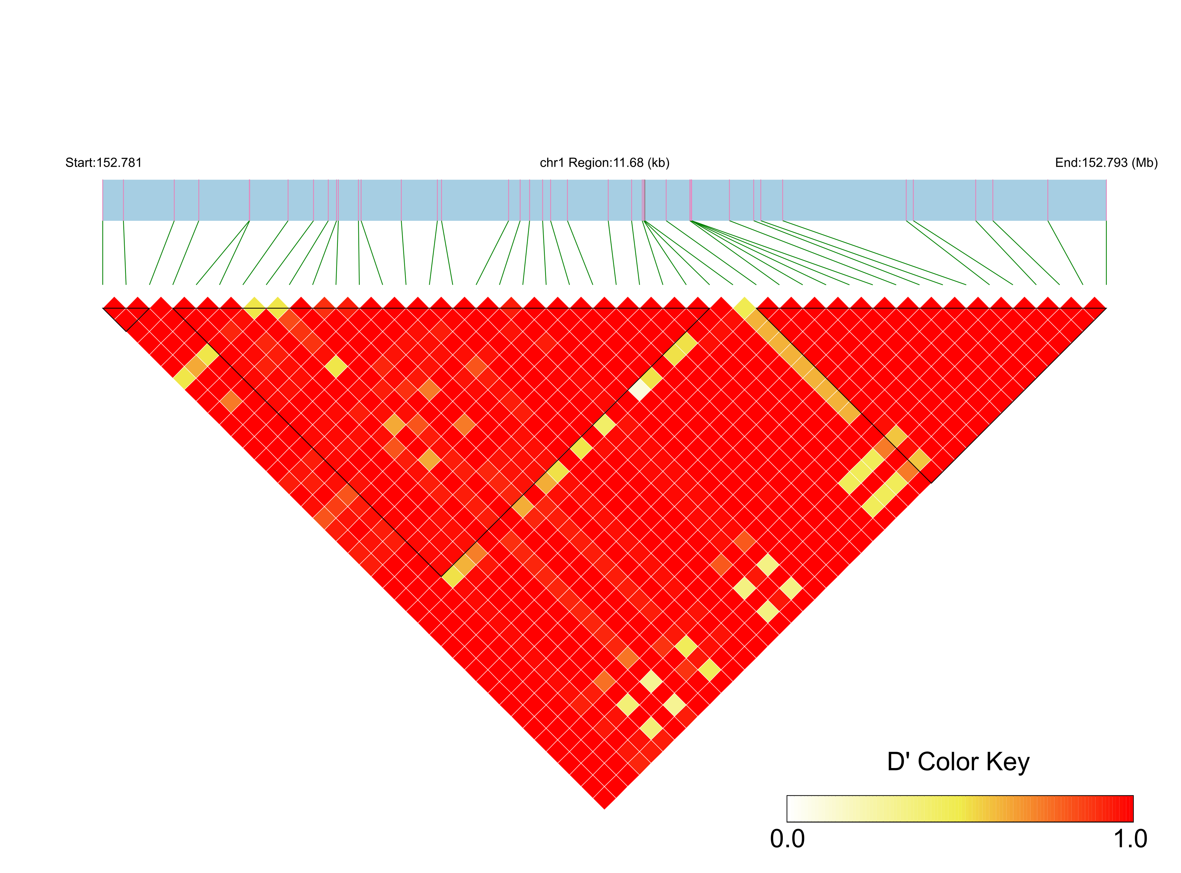 LD