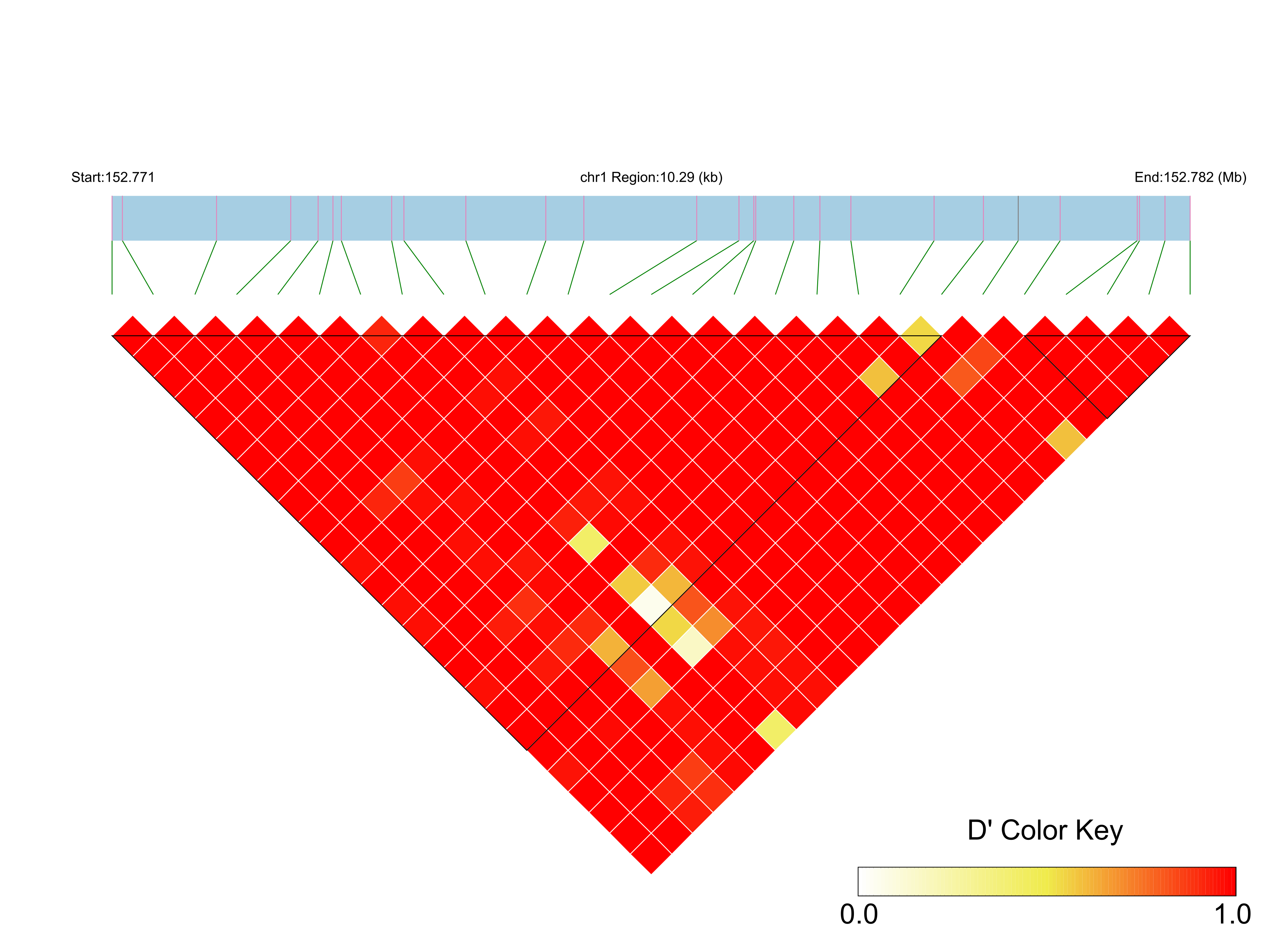 LD