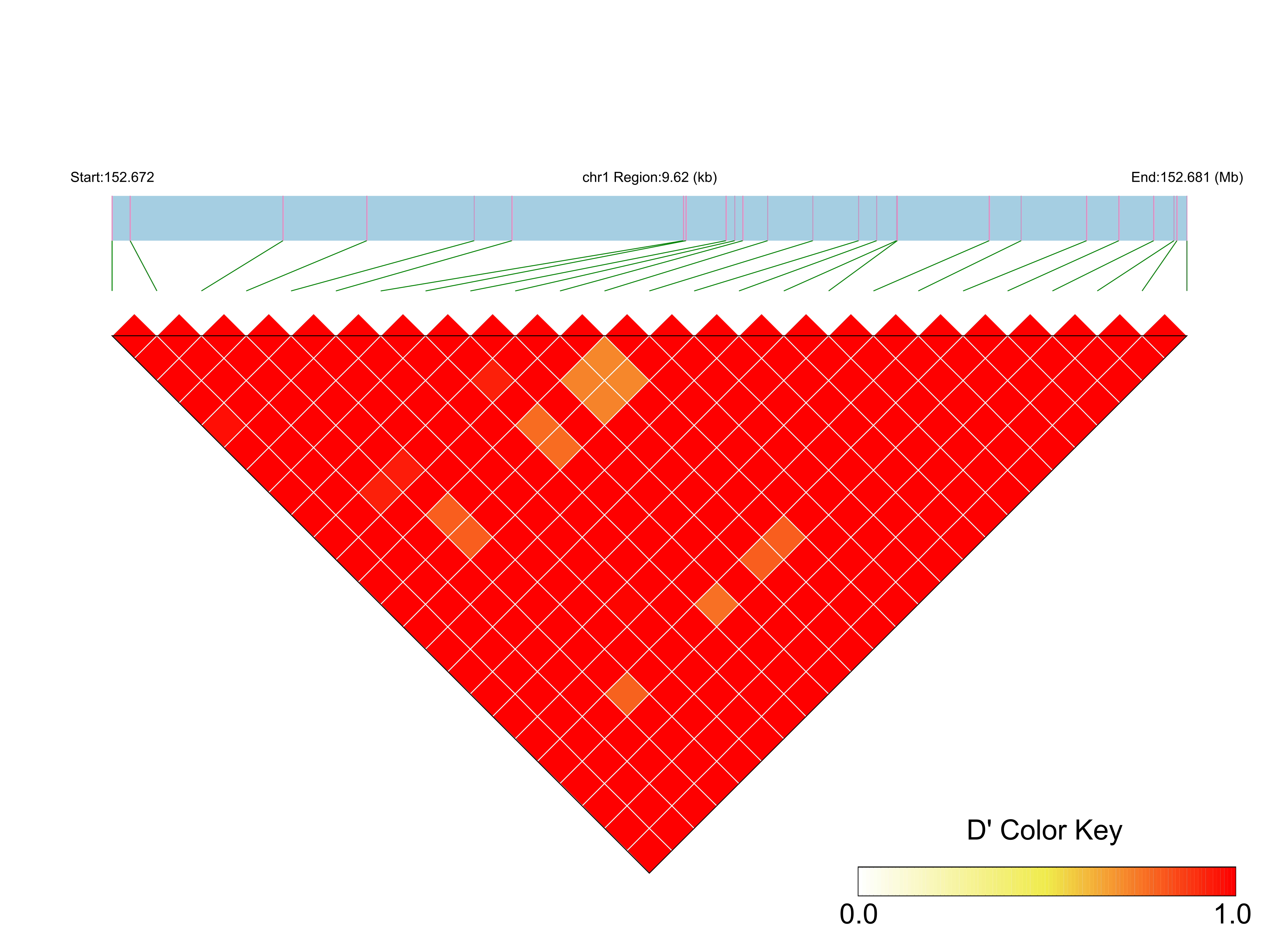 LD