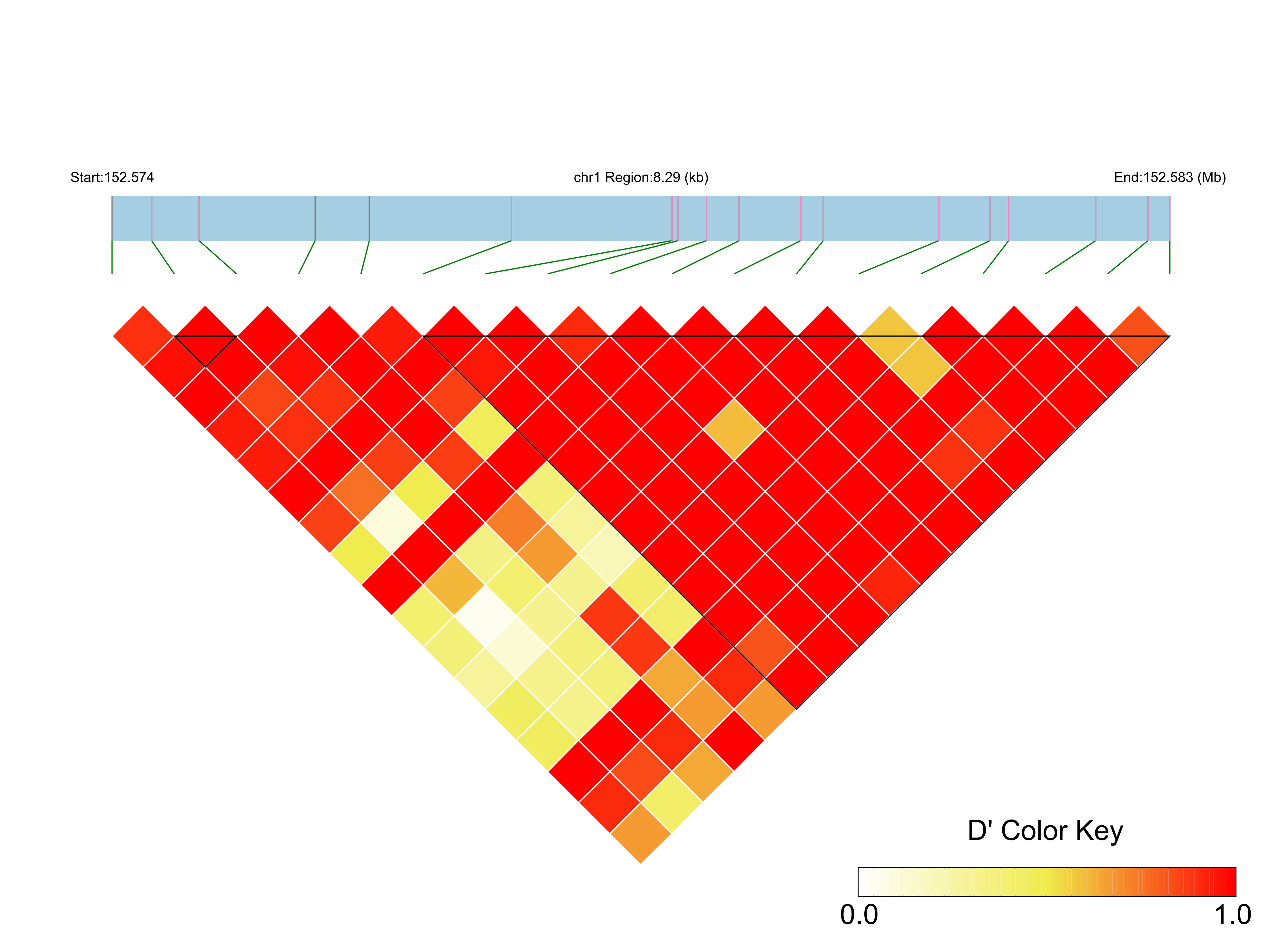 LD