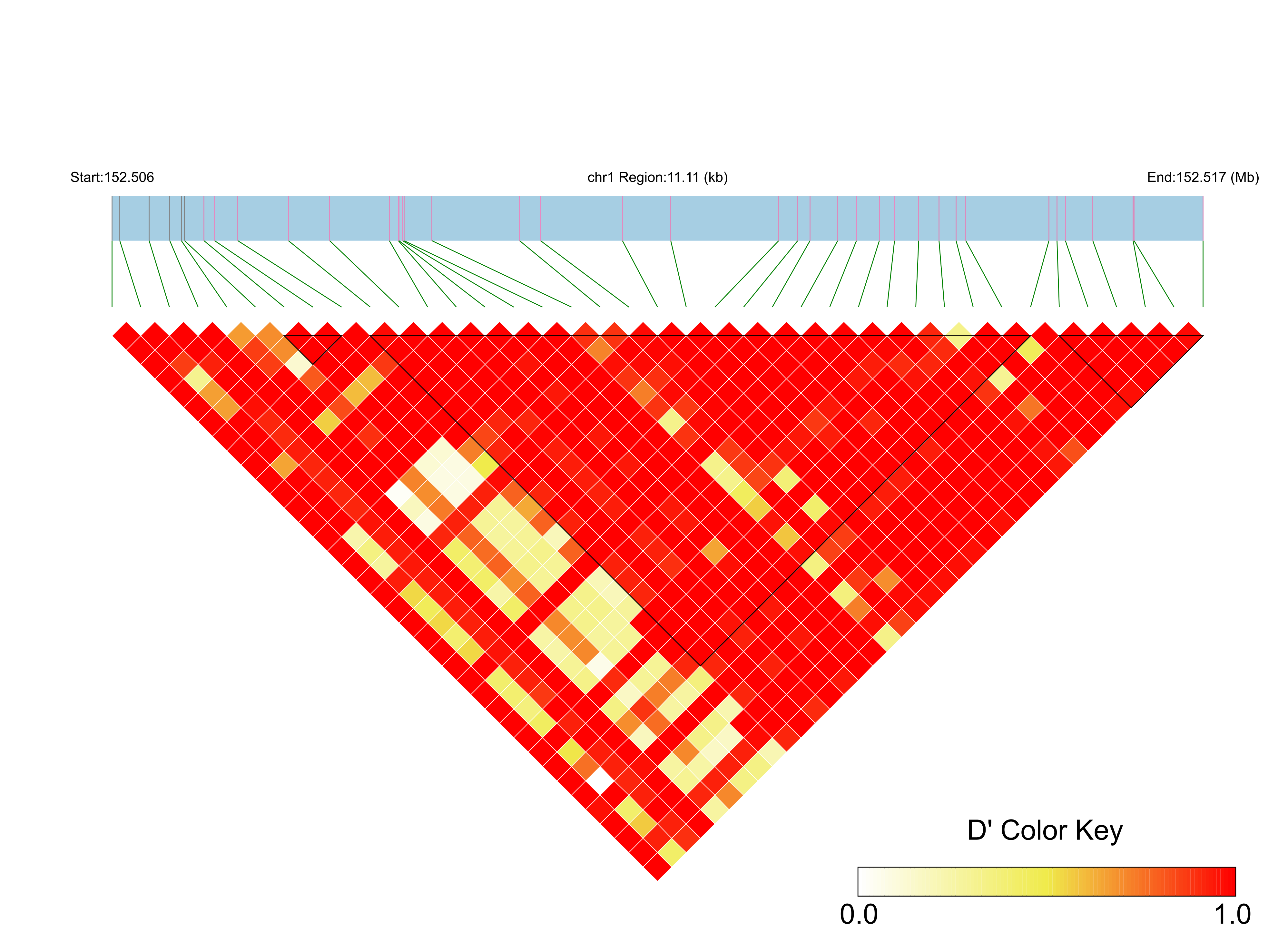LD