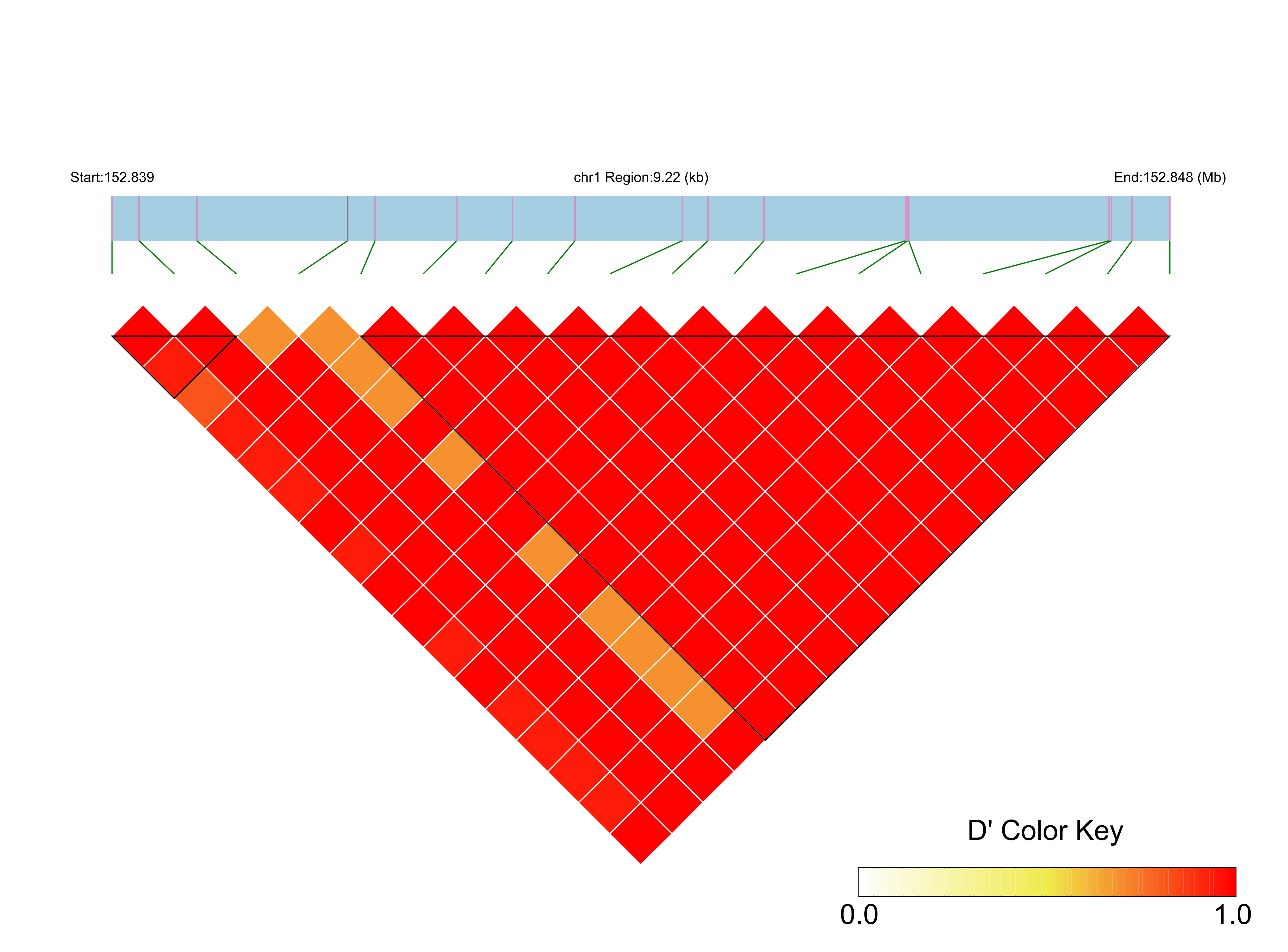 LD