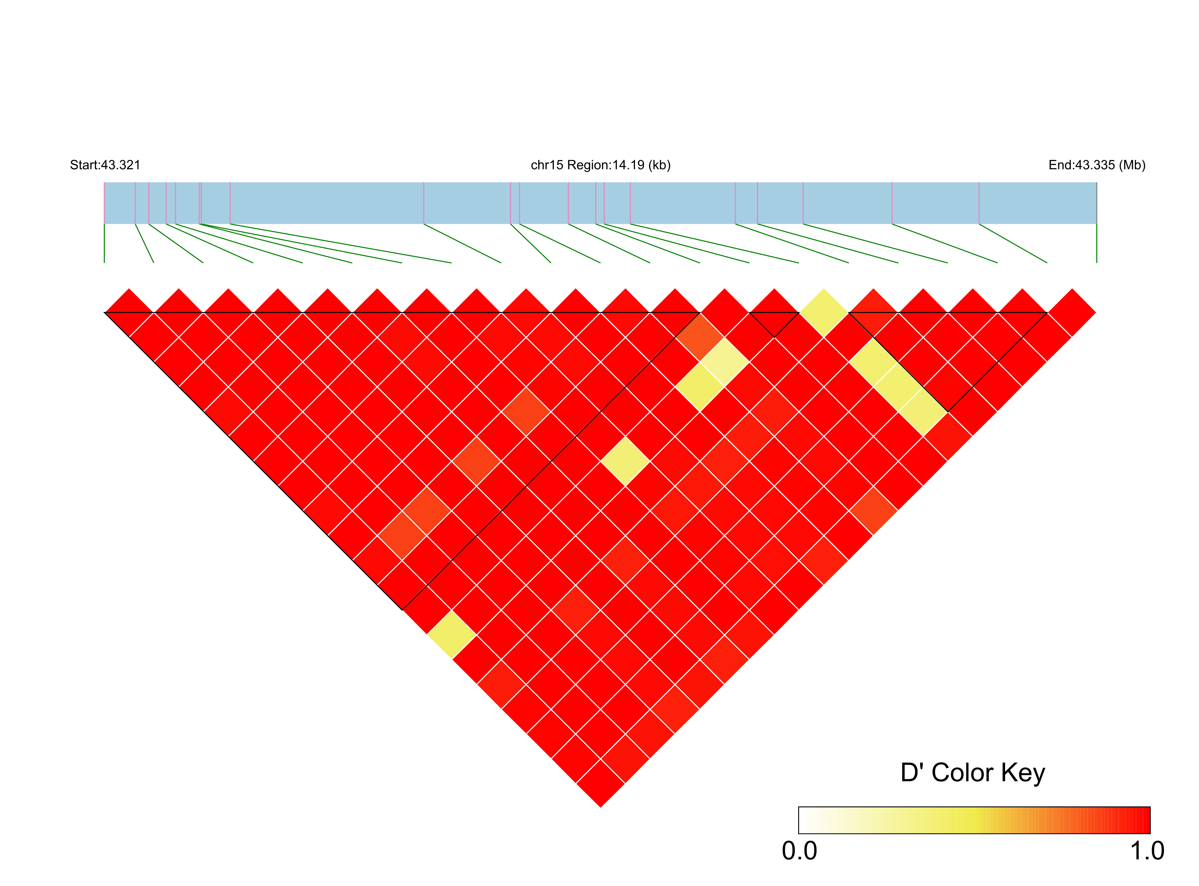 LD