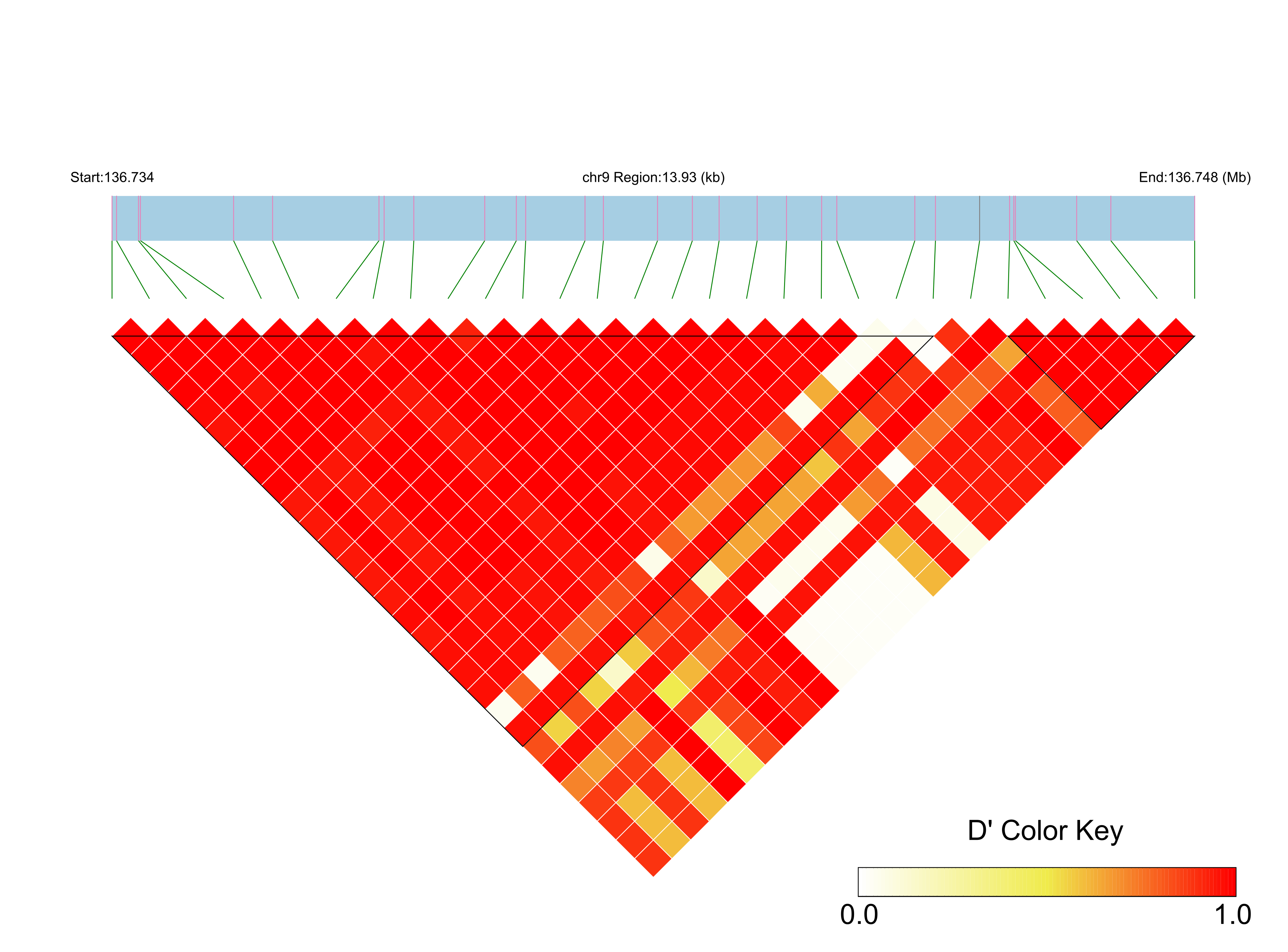 LD