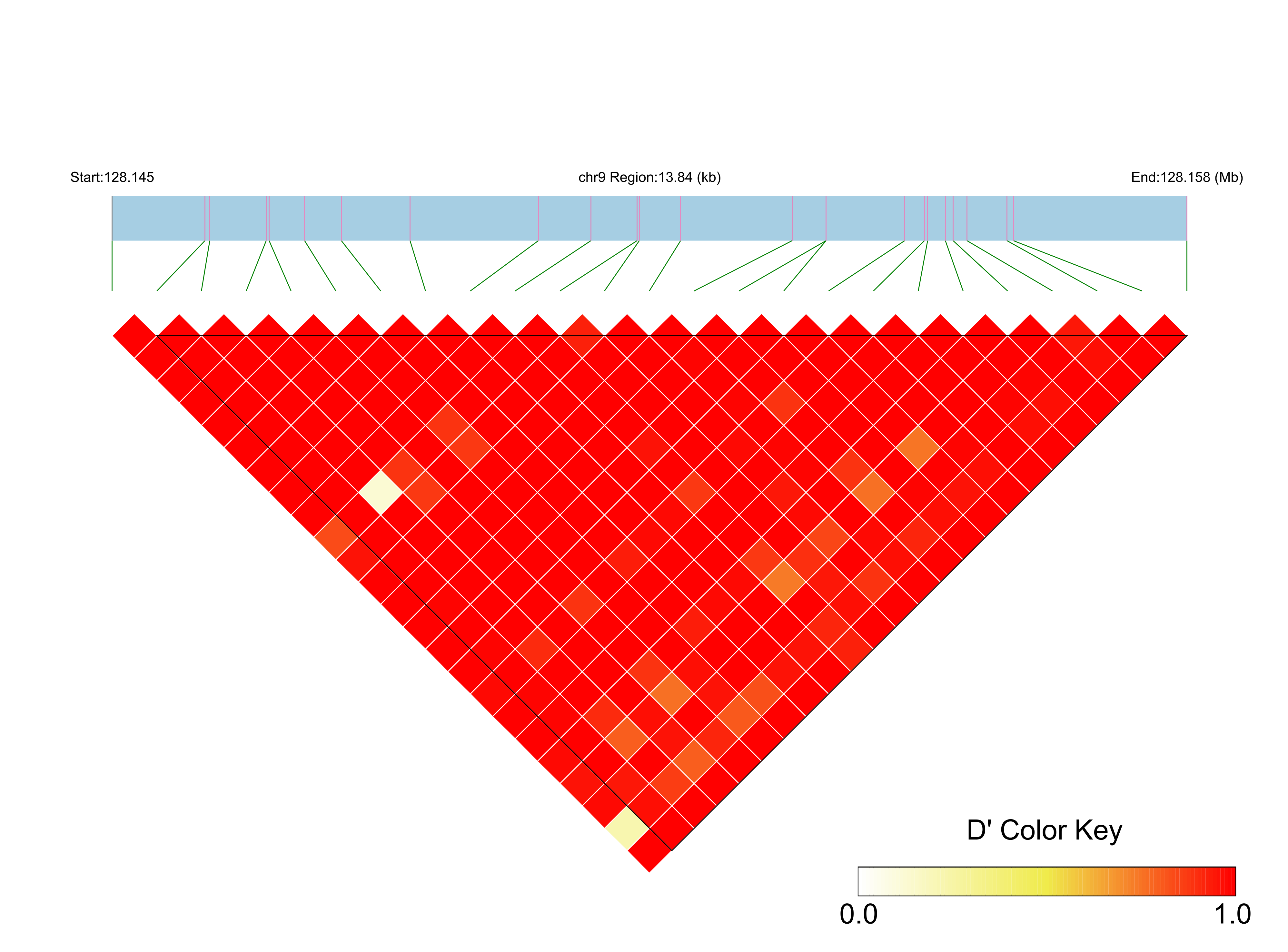 LD