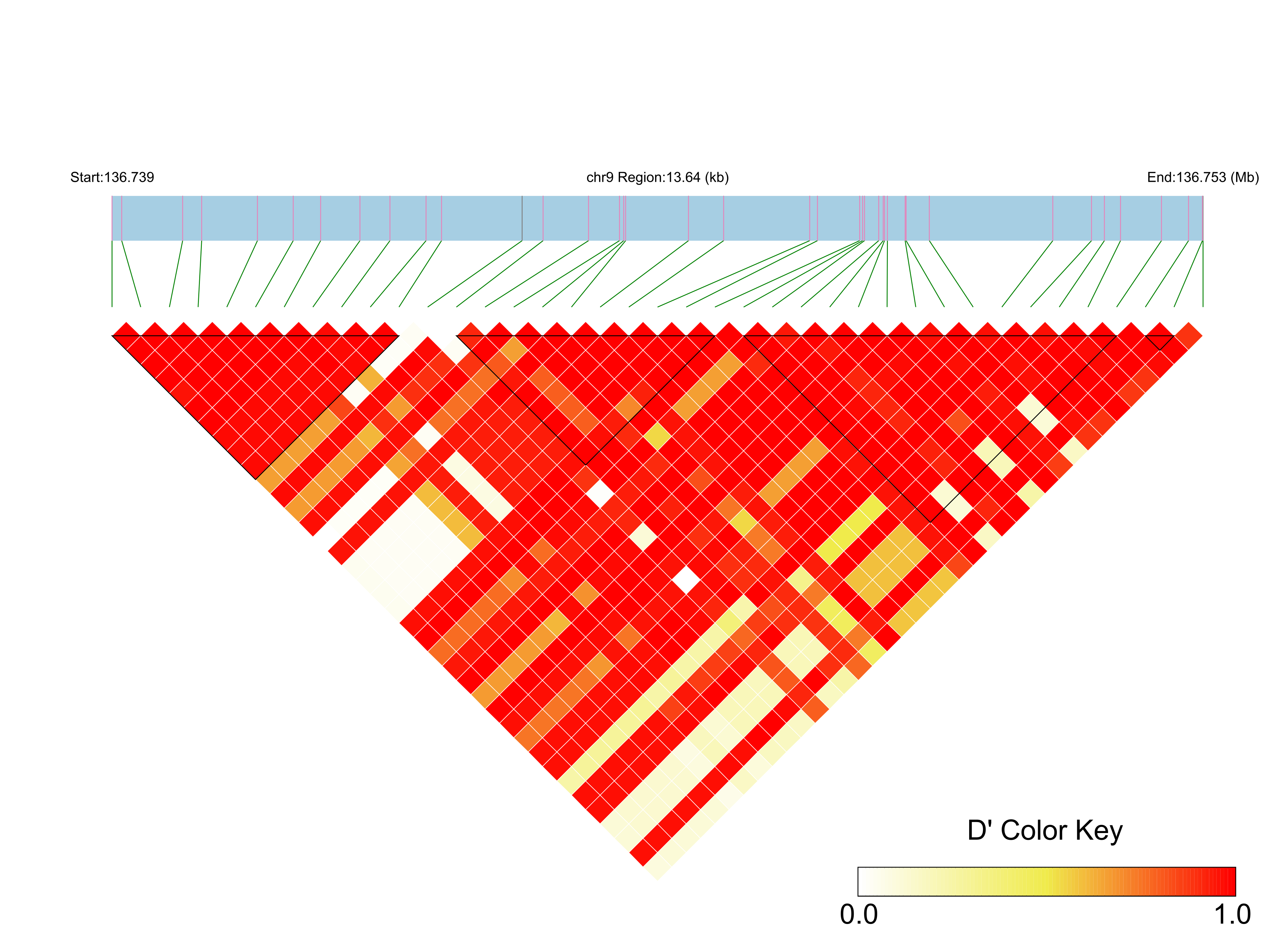 LD