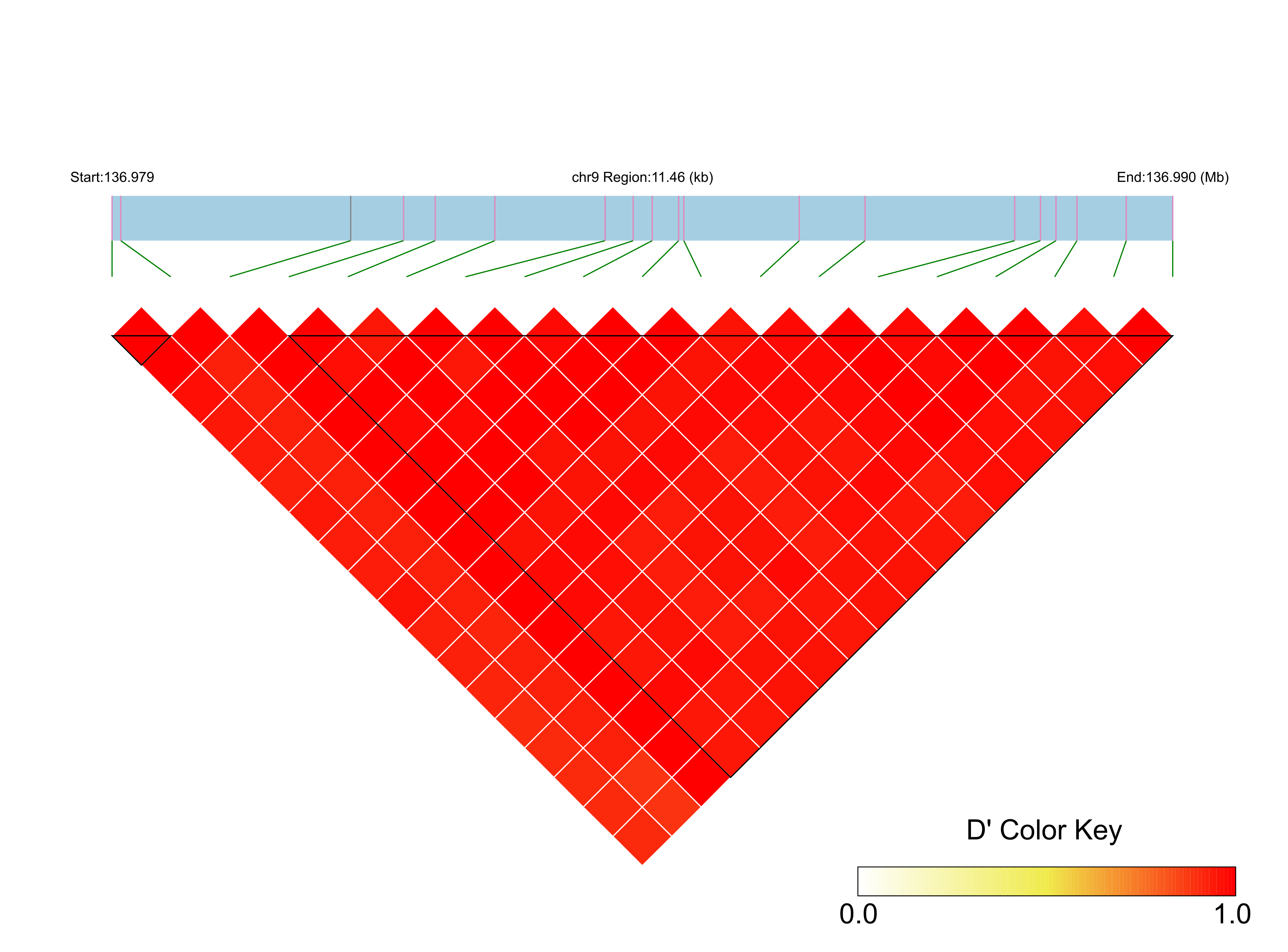 LD