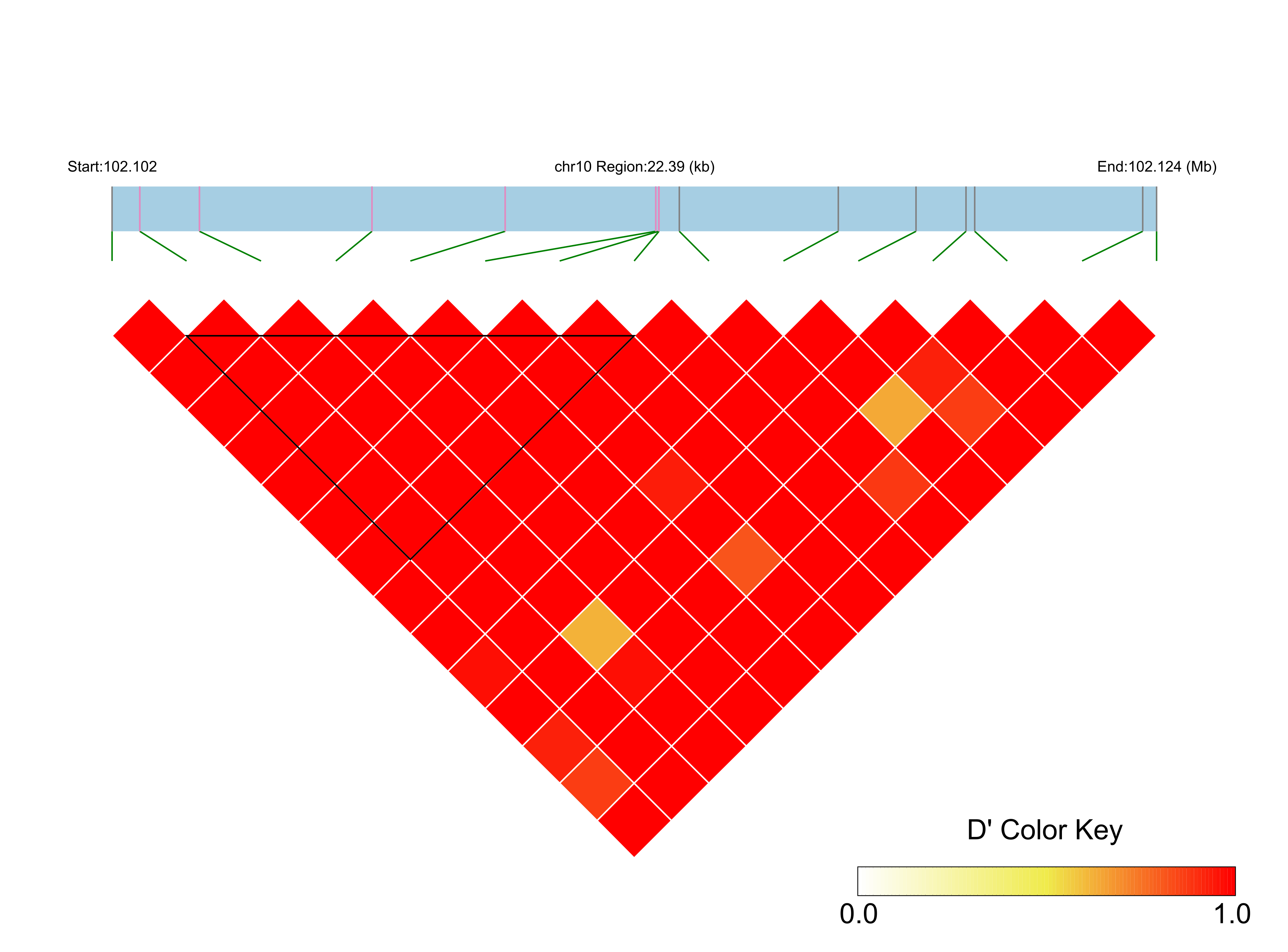 LD