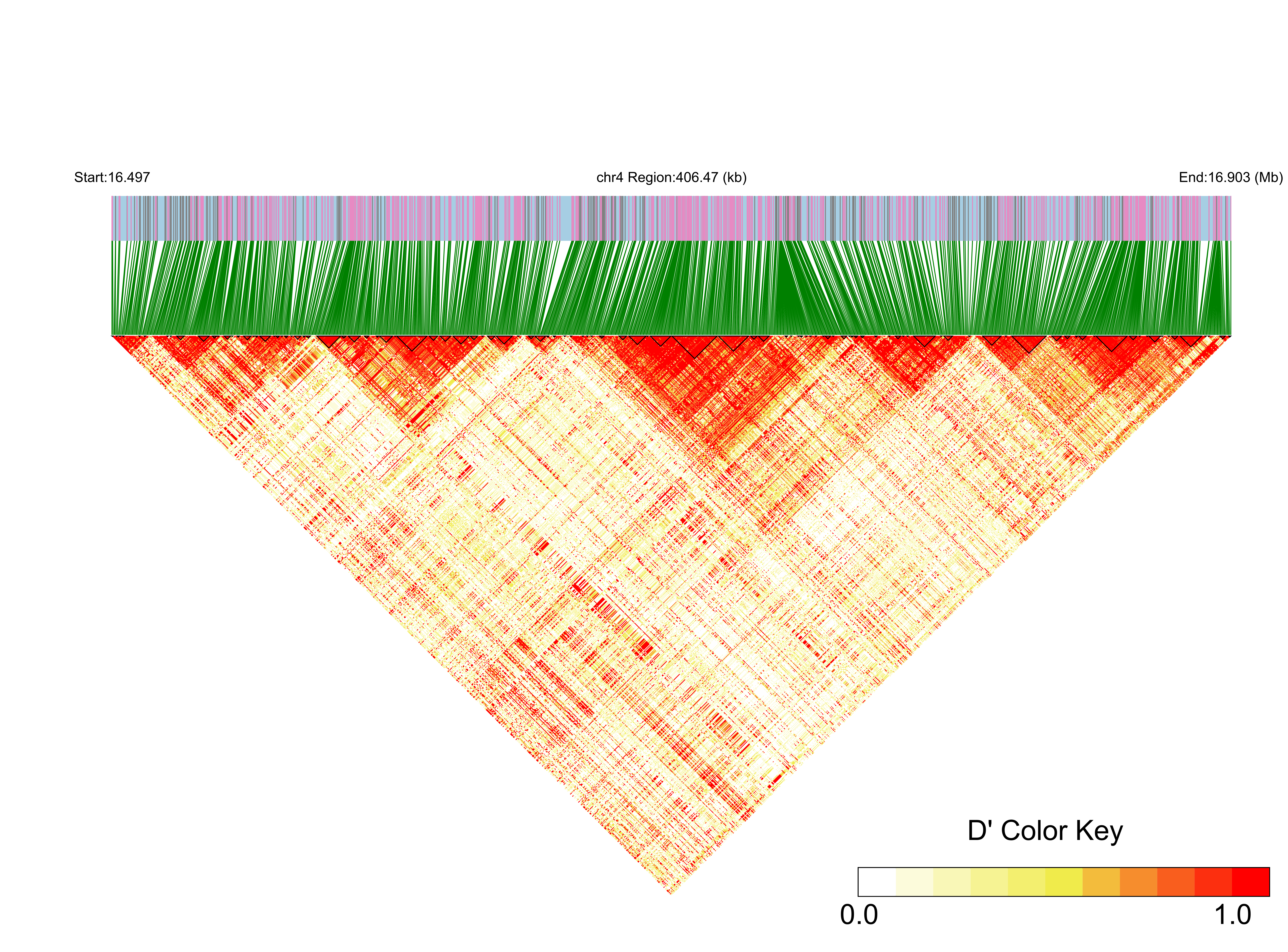 LD