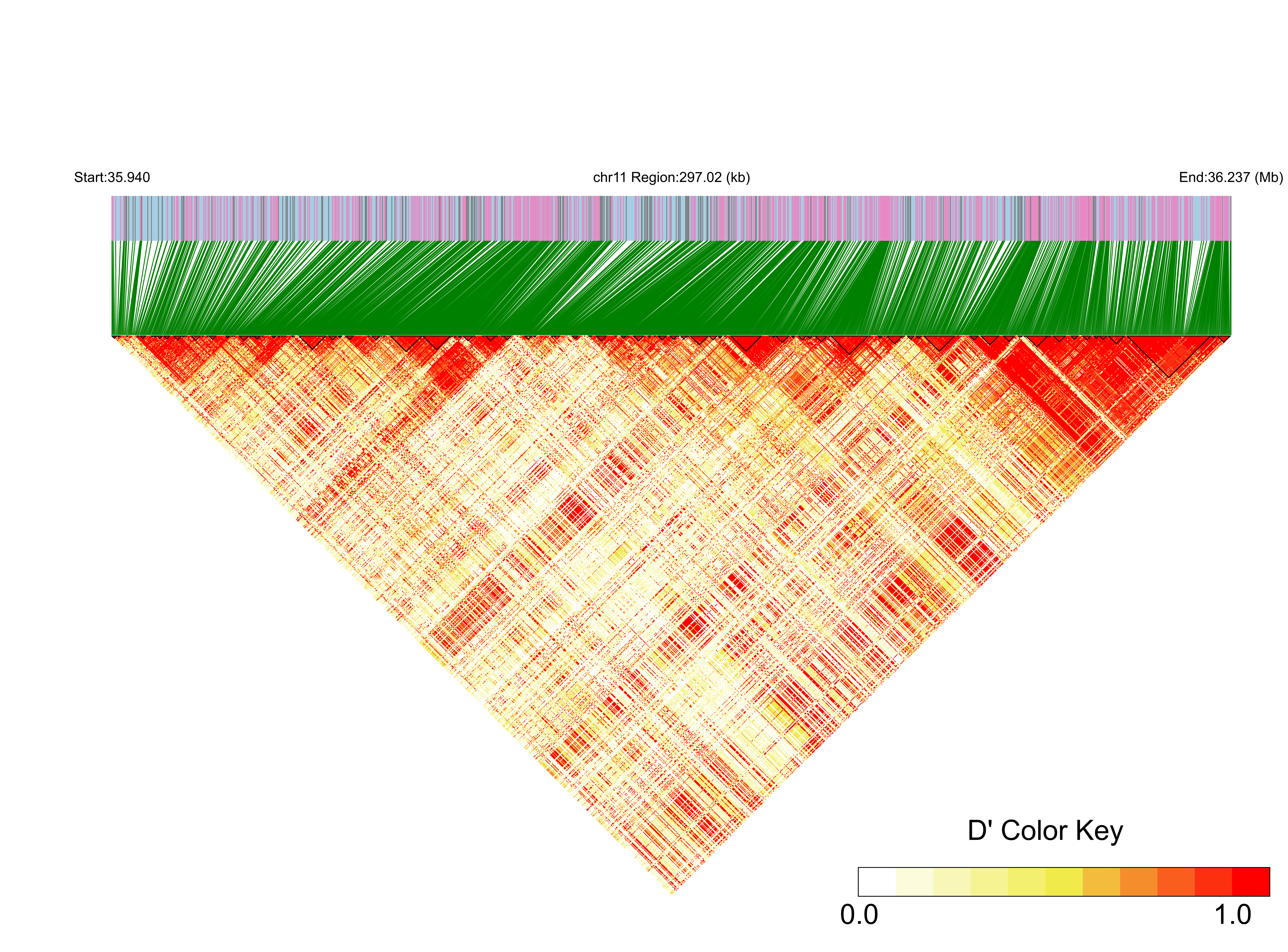 LD