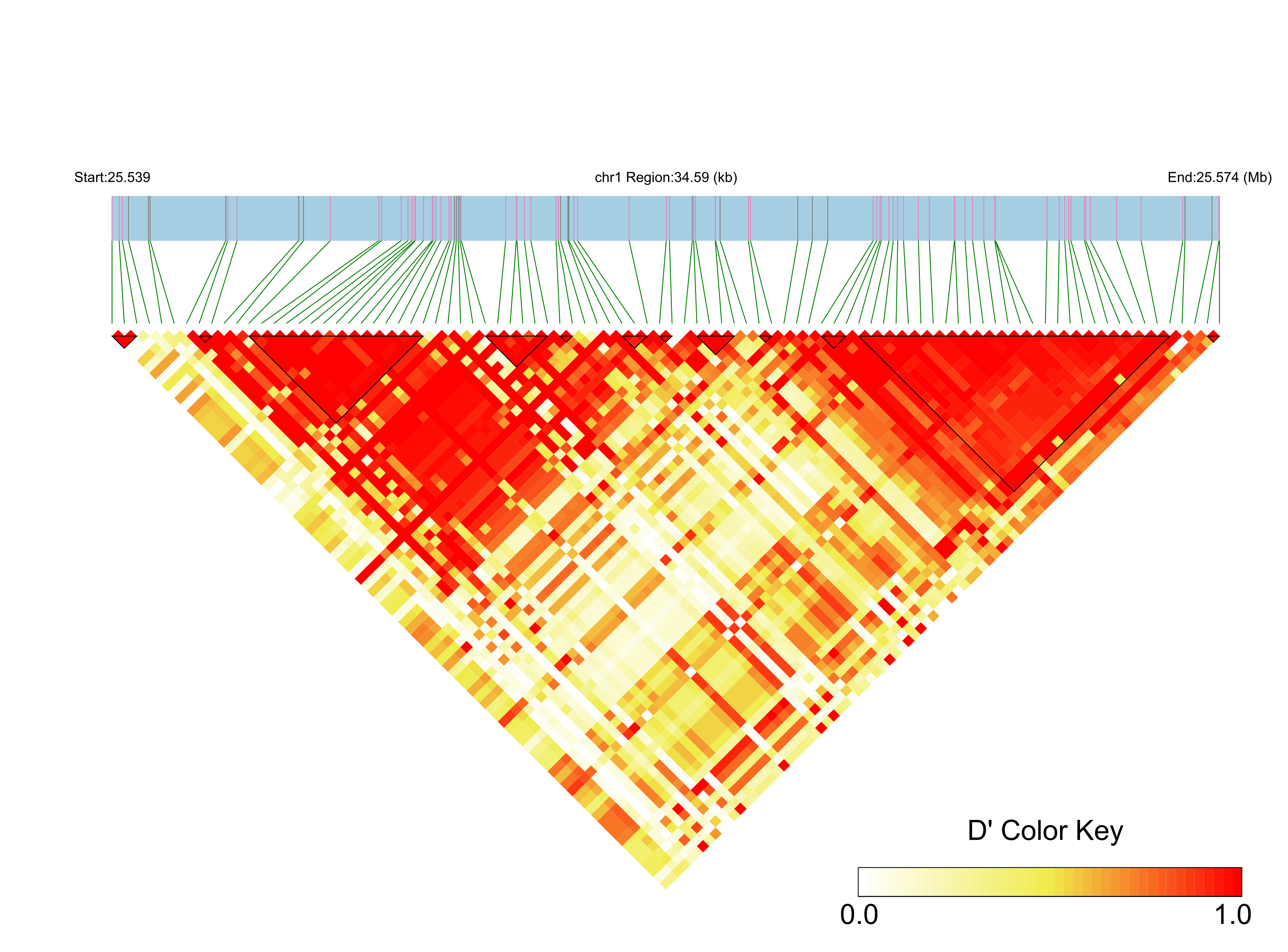 LD