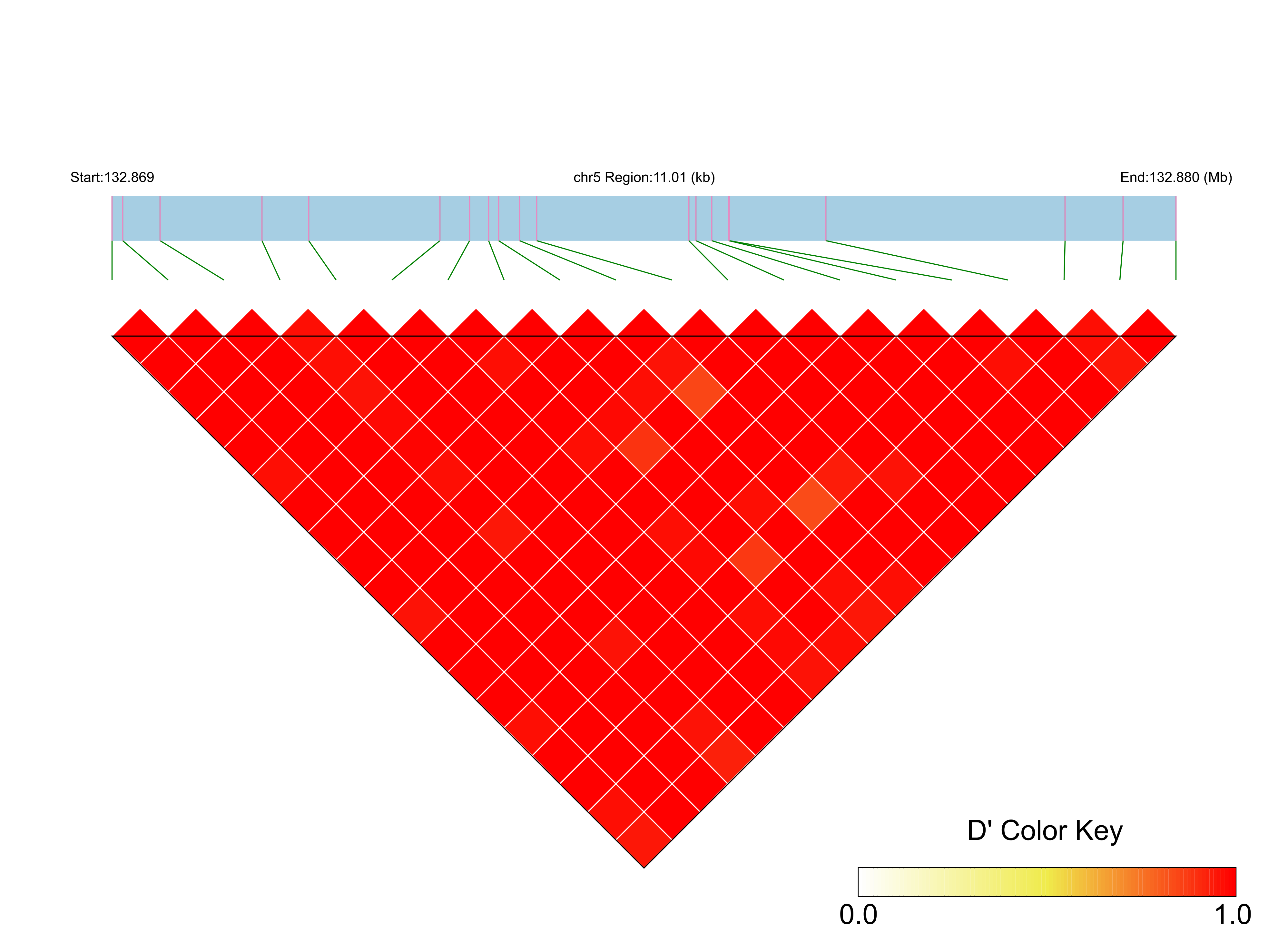 LD