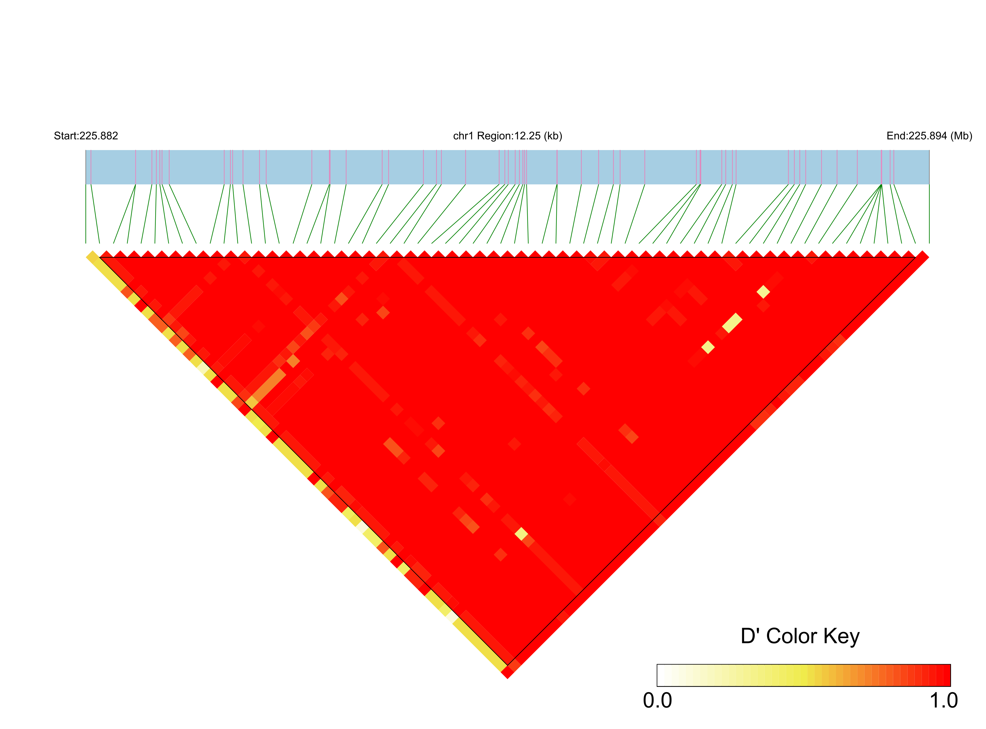 LD