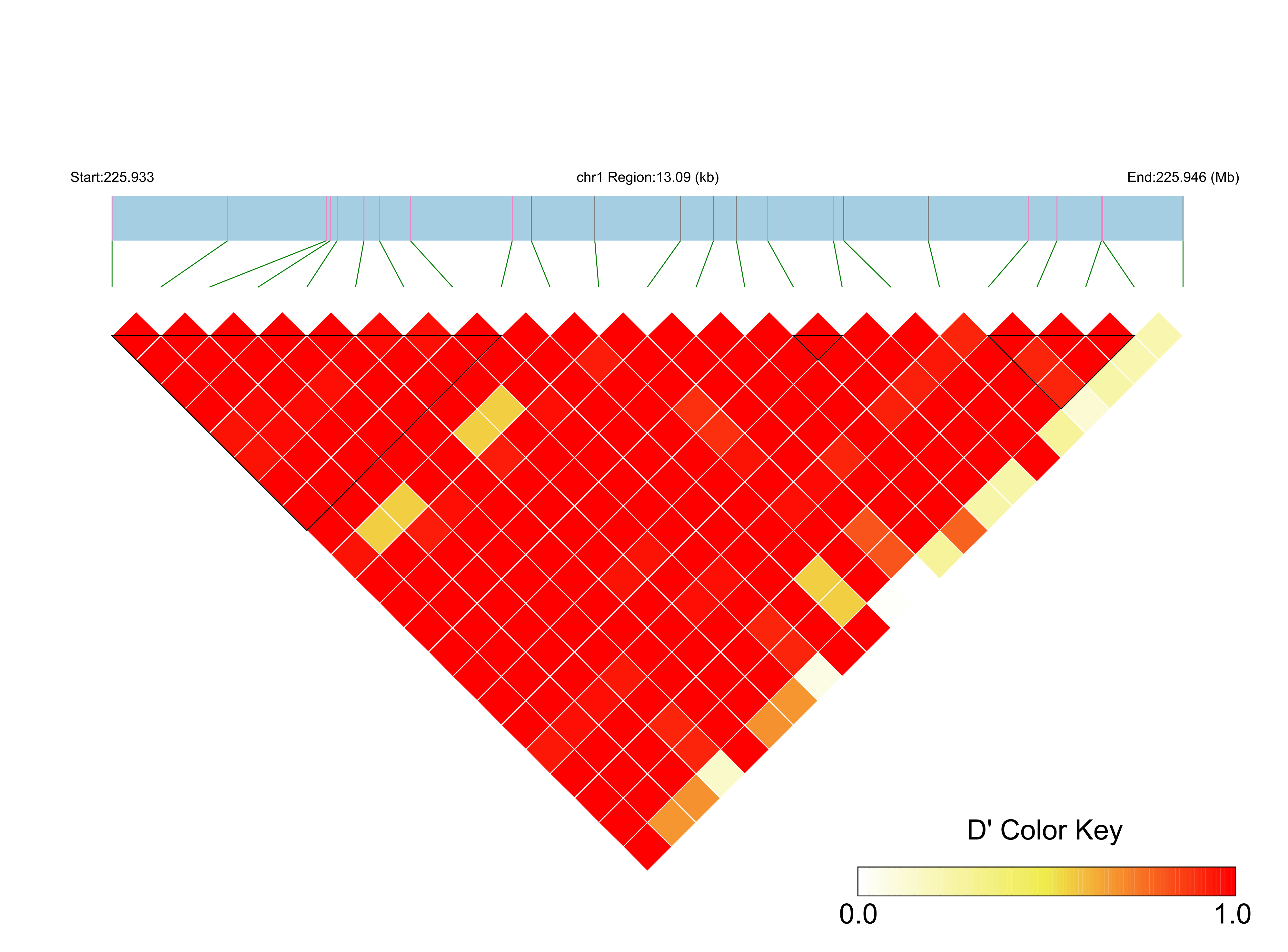 LD
