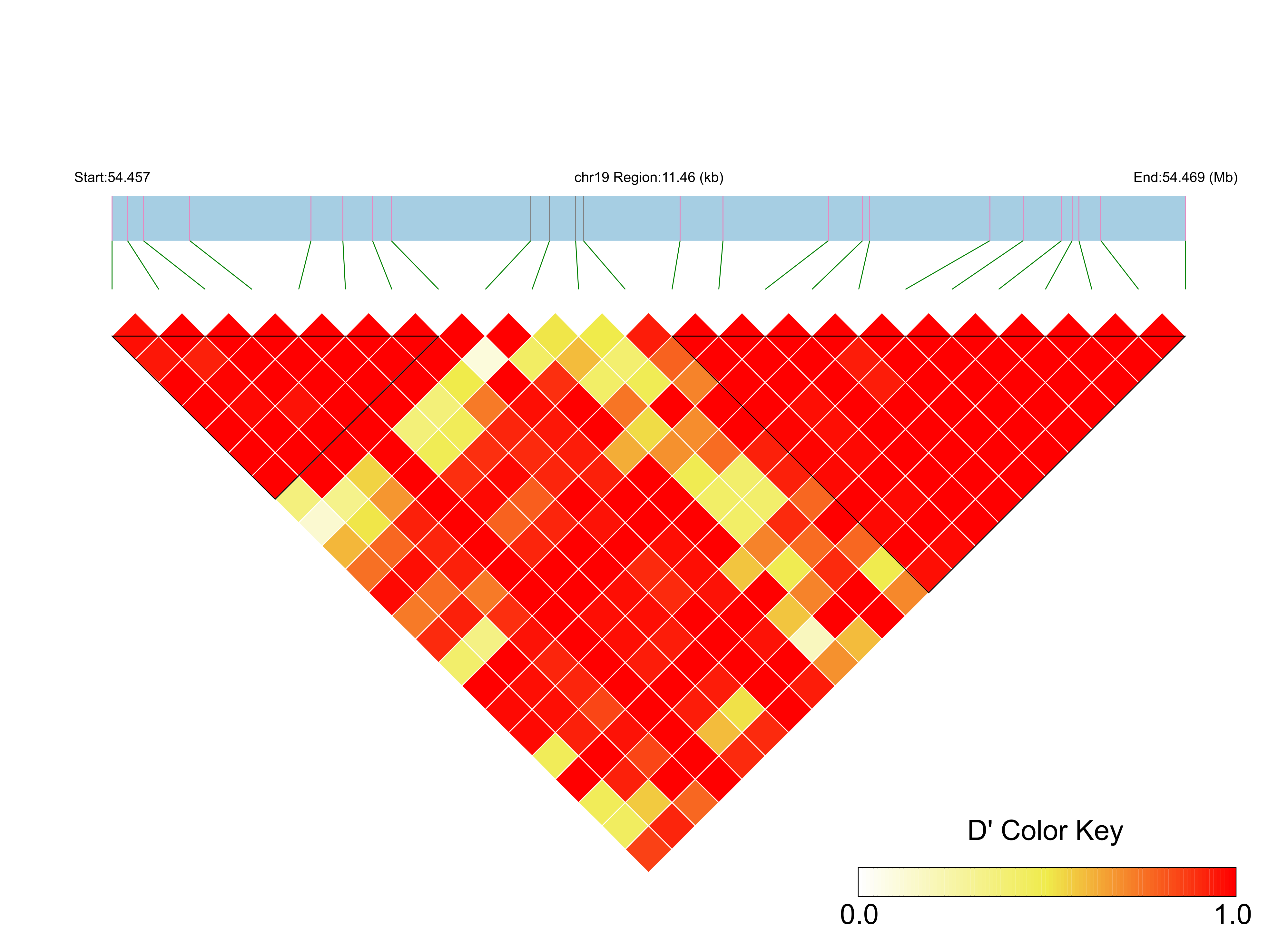 LD