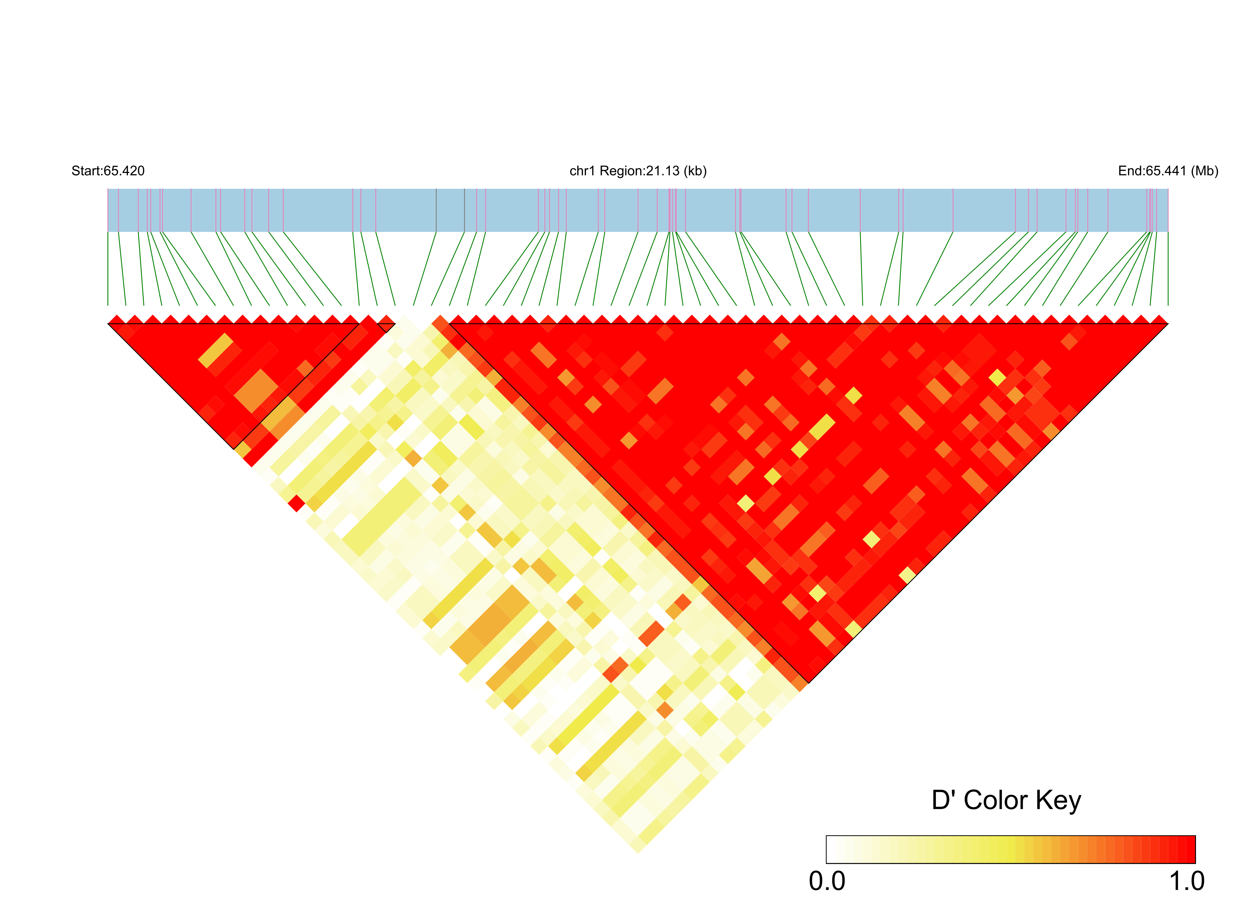 LD
