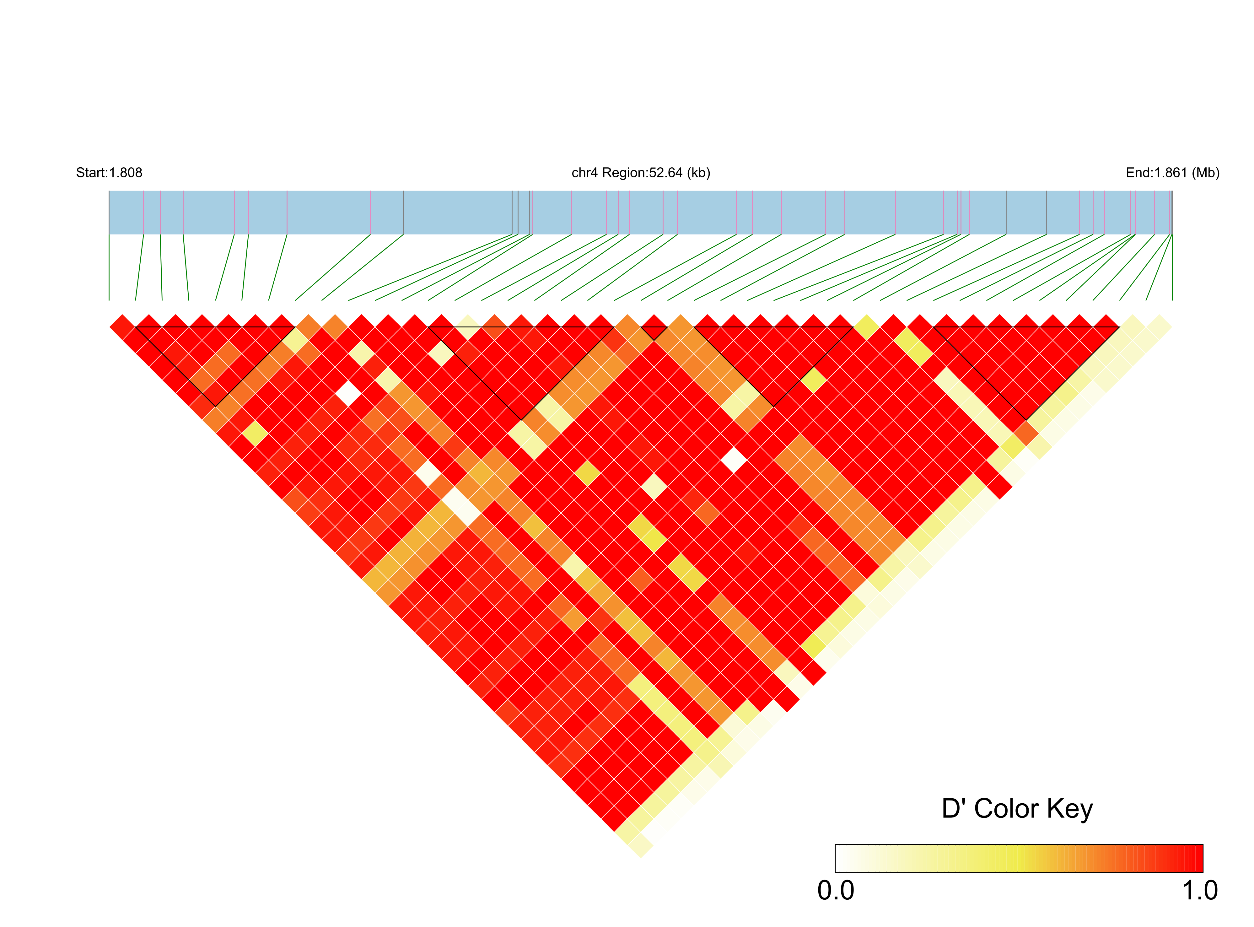 LD